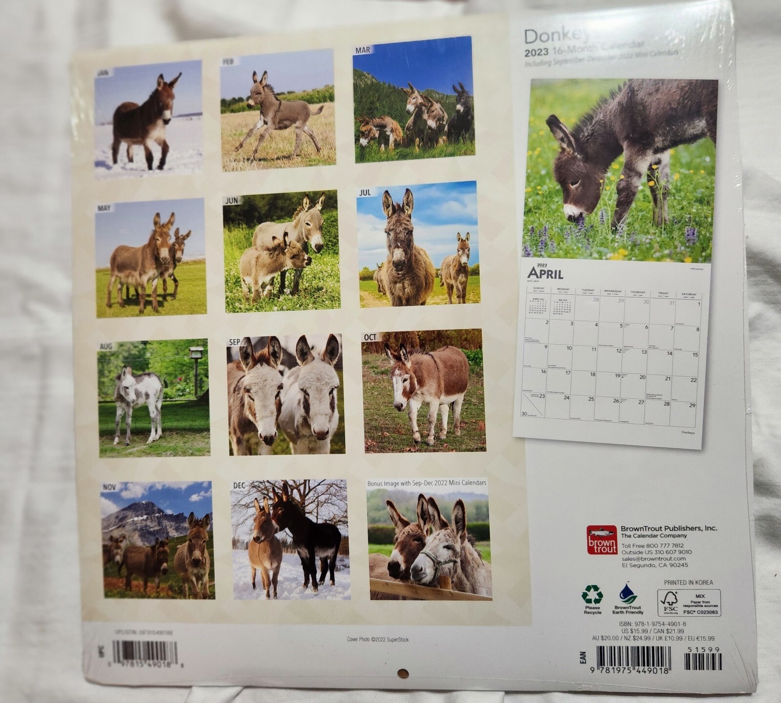 BROWN TROUT, DONKEY’S 2023 SQUARE WALL CALENDAR NEW FARM ANIMAL
