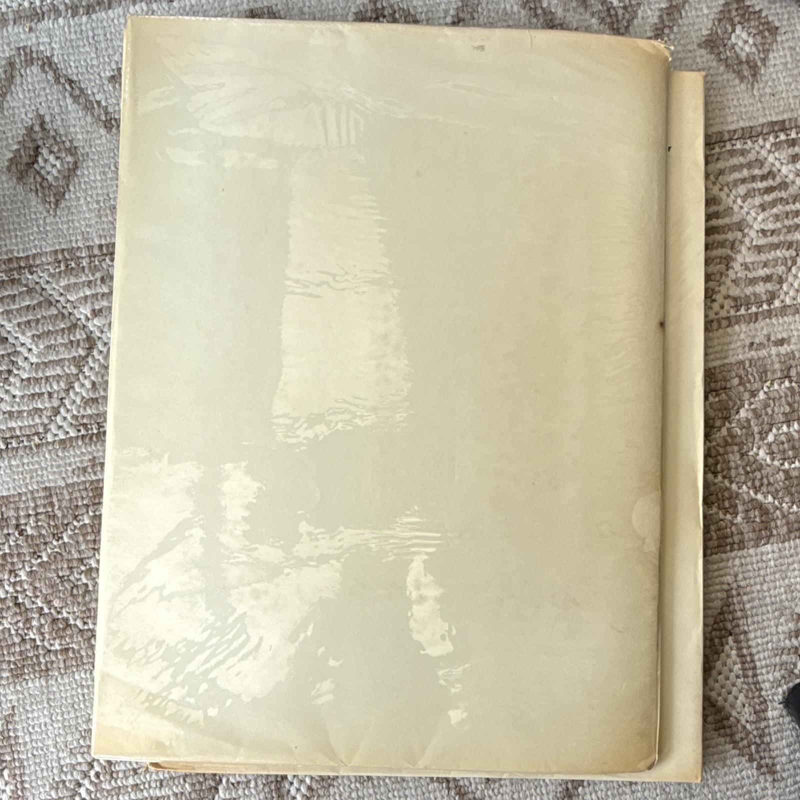 Van Gogh Meyer Schapiro Harry N. Abrams 1952 Art Treasures HC Illustrated
