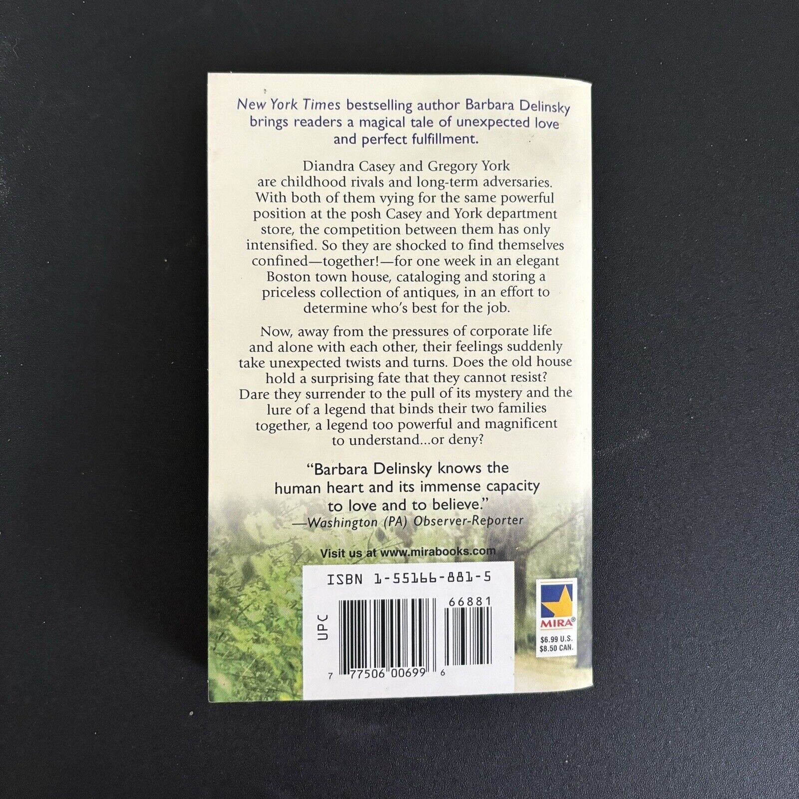 Fulfillment by Delinsky, Barbara