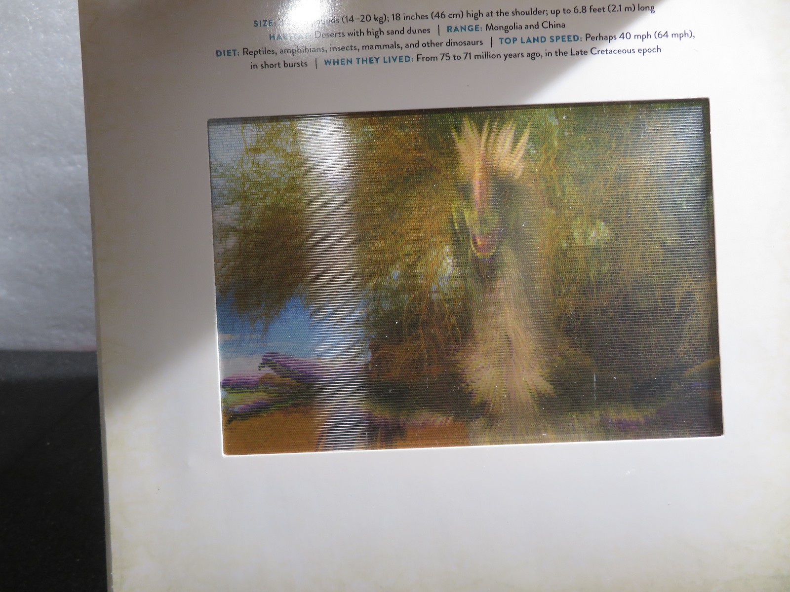Dinosaur : A Photicular Book by Kathy Wollard and Dan Kainen 2018, Hardcover