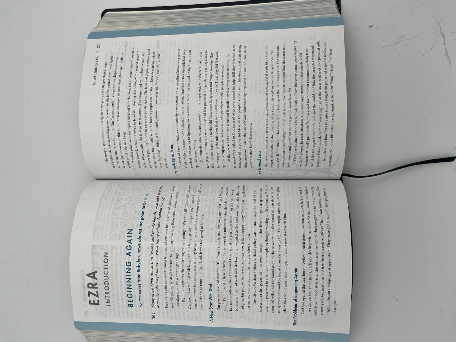 NIV Student Bible Black Bonded Leather Zondervan 2009