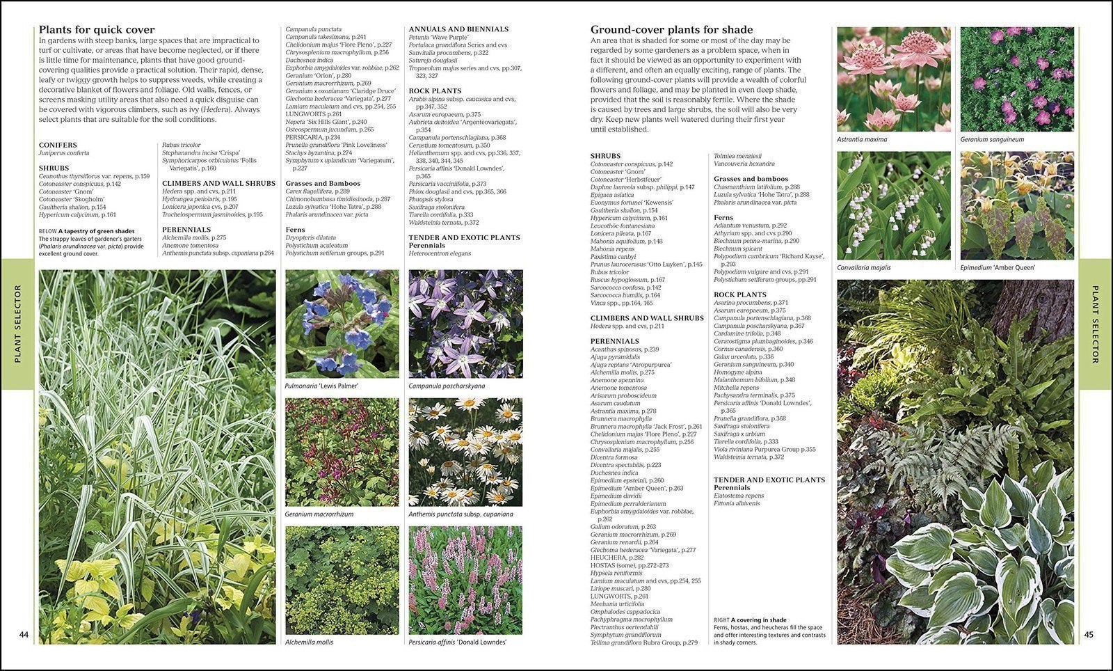 Encyclopedia of Plants and Flowers