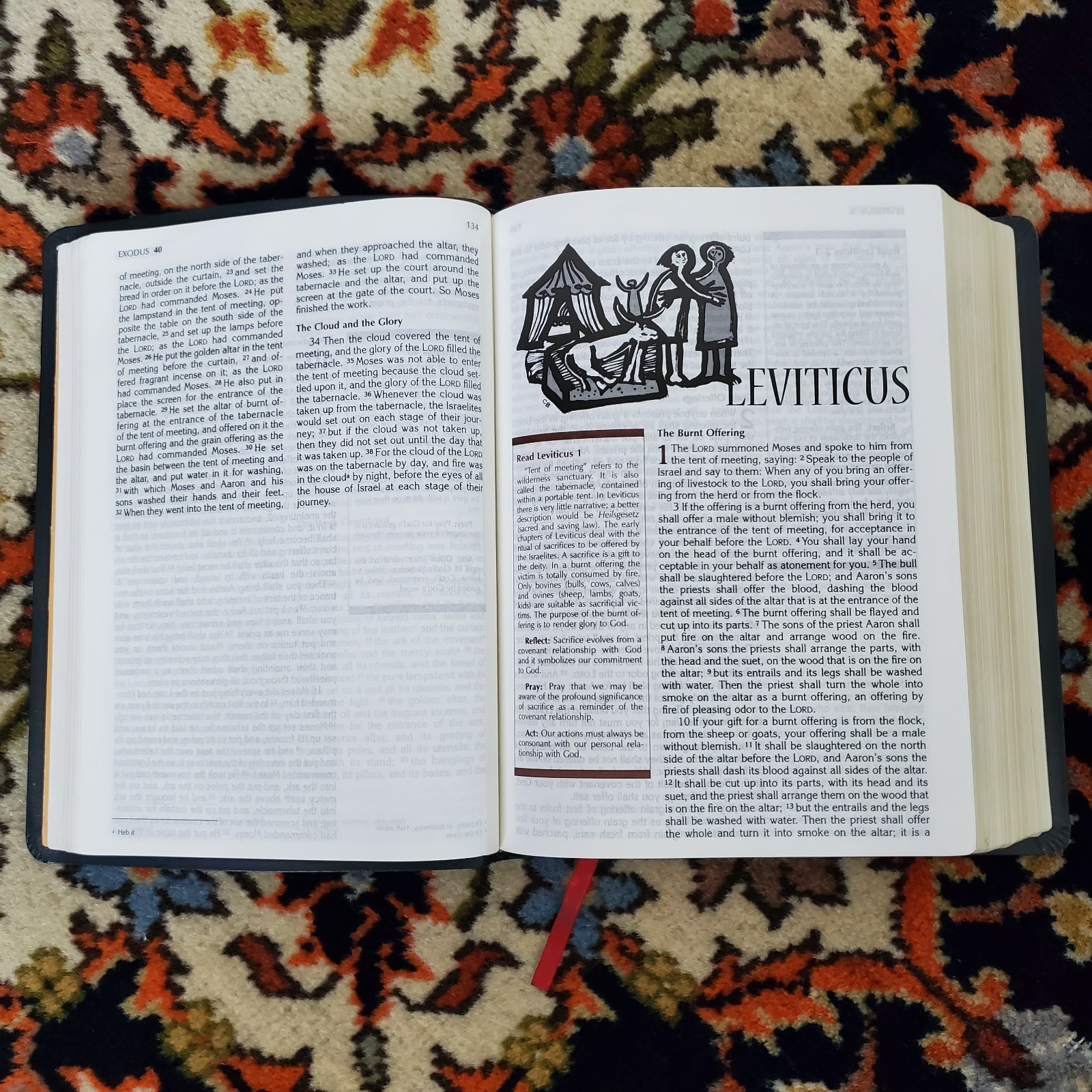 Catholic Prayer Bible Lectio Divina Edition NRSV New Revised Standard Ed Paulist