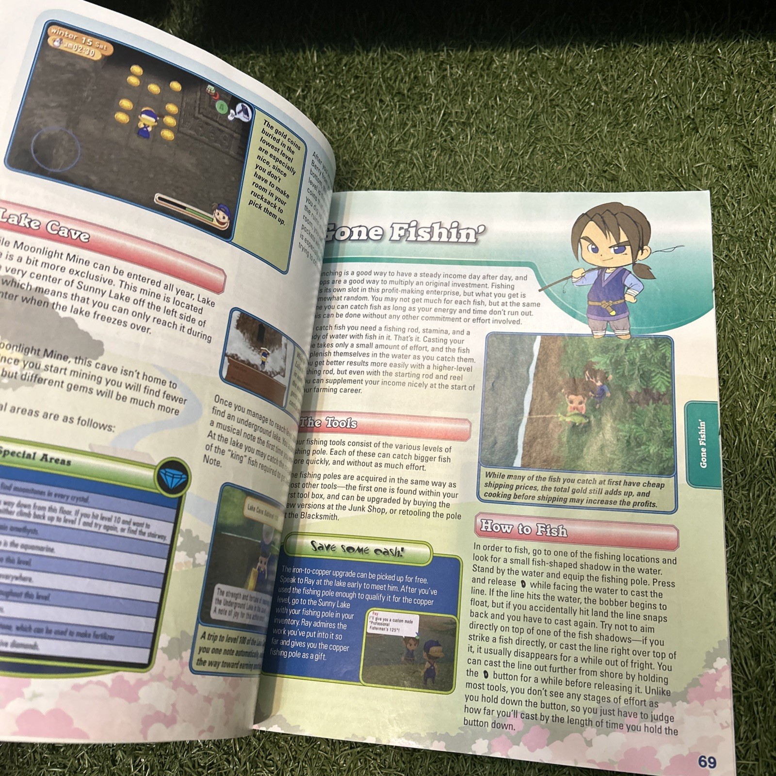 Official Harvest Moon Magical Melody Harvest Moon DS Strategy Guide BradyGames