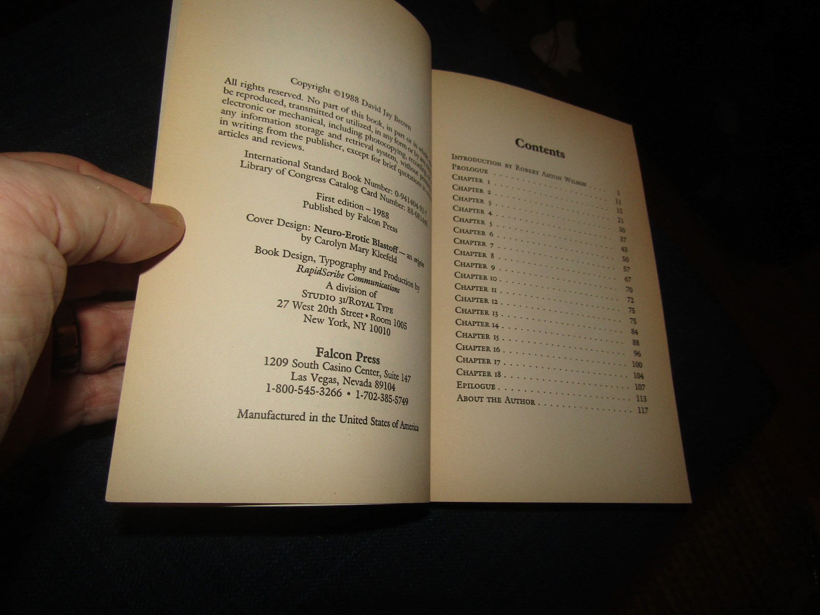 BRAINCHILD By David Jay Brown & Robert Anton Wilson 1st Ed 1988