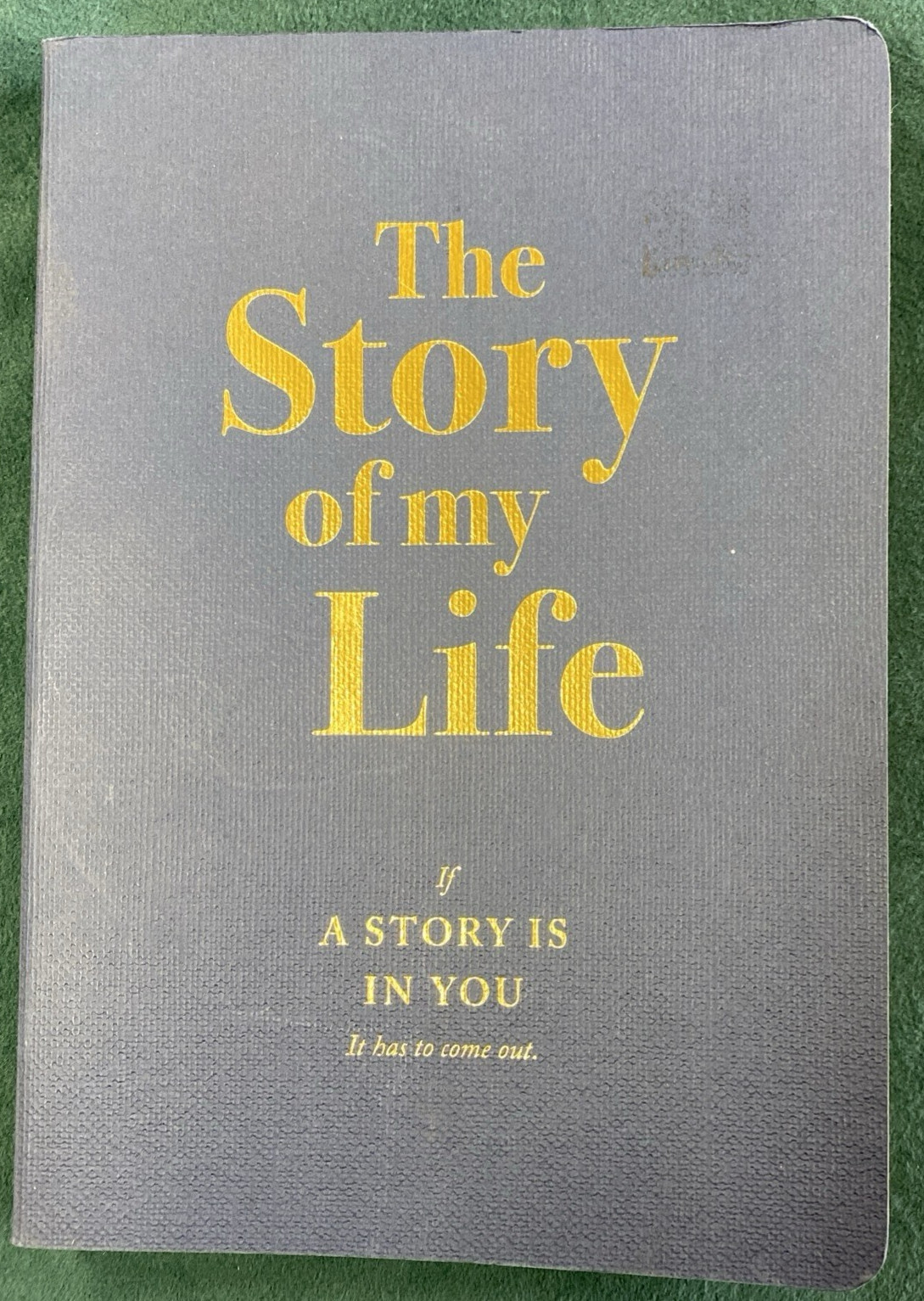 PICCADILLY STORY OF MY LIFE JOURNAL, Ages 8+, 6 x 8.3″, 204 Pages, Blue