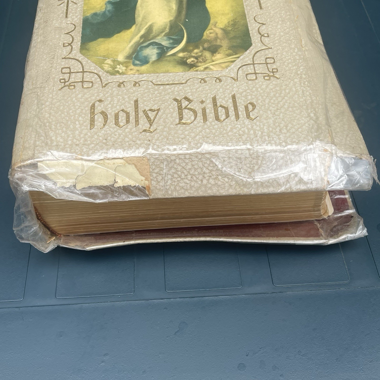 Vintage Holy Bible The Holy Angels Edition The Catholic Press 1963 White Large