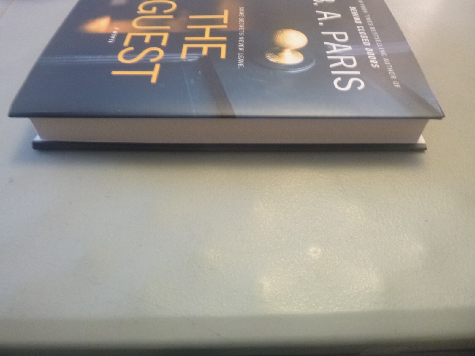 The Guest by B.A. Paris