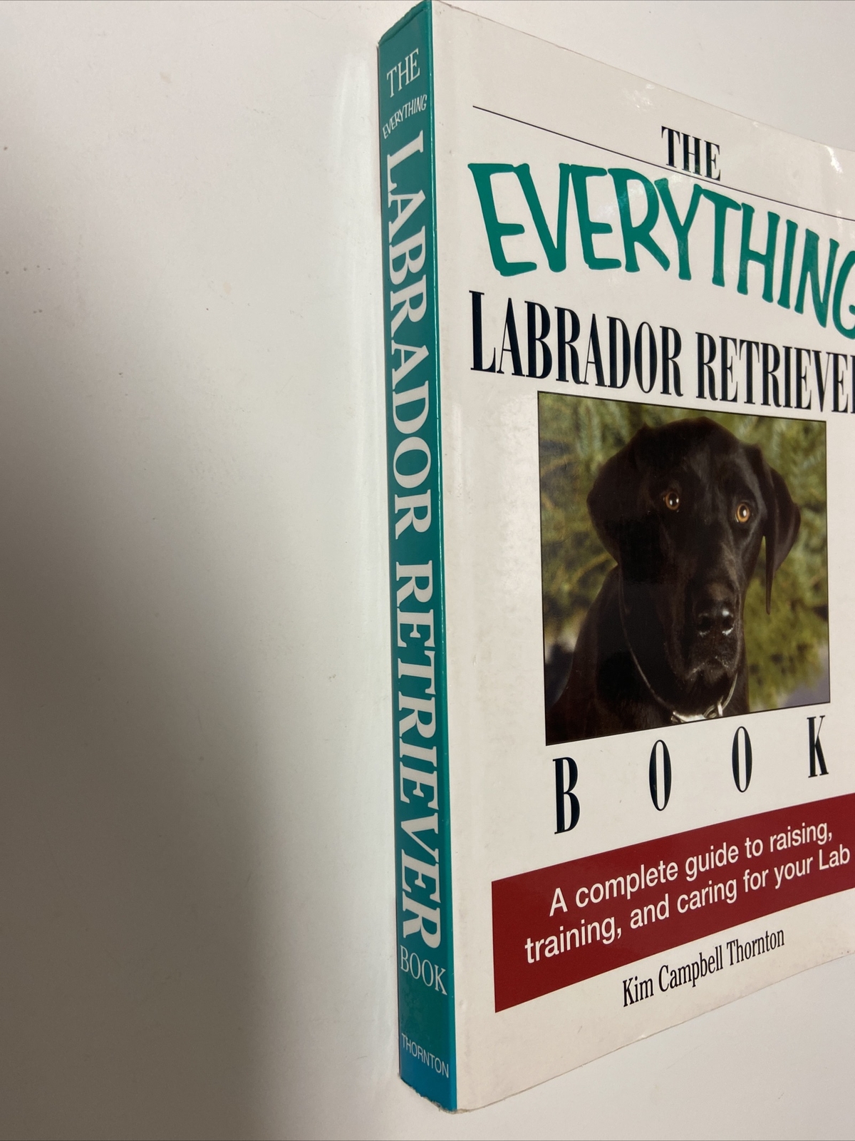 Everything® Ser.: Labrador Retriever Book : A Complete Guide to Raising,…