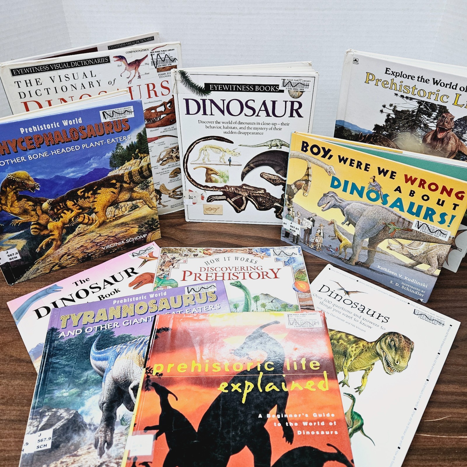 Kids Books About Dinosaurs Lot of 10 Homeschool Classroom Library Eyewitness