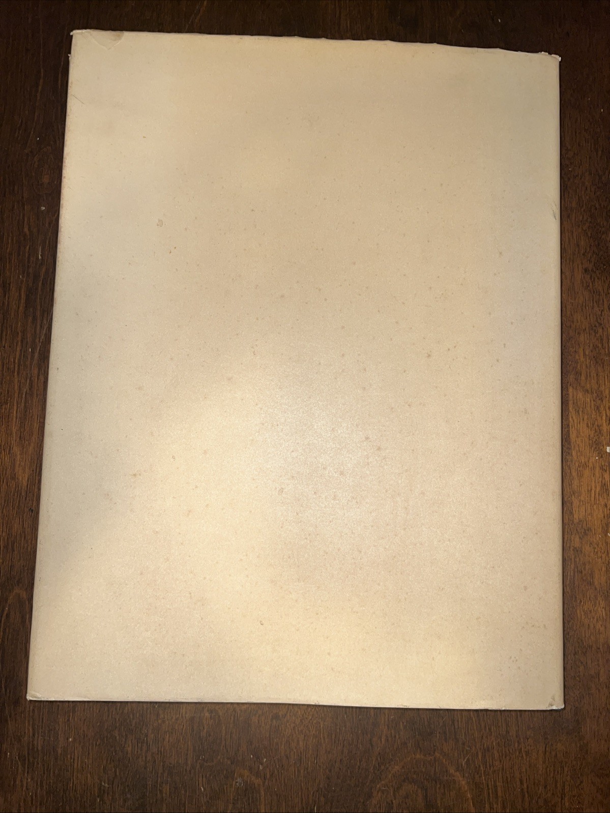 Georgia O’Keeffe : A Portrait by Alfred Stieglitz 1st EDITION – Read Description