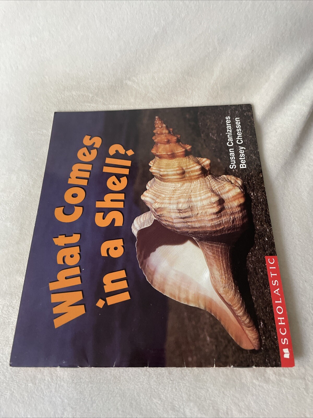 What Comes In A Shell (Science Emergent Reader) (Science Emergent R
