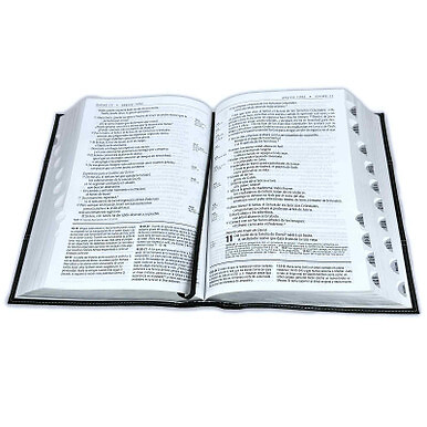 Biblia de Estudio del Diario Vivir Letra Grande NTV – sentipiel negro con indice