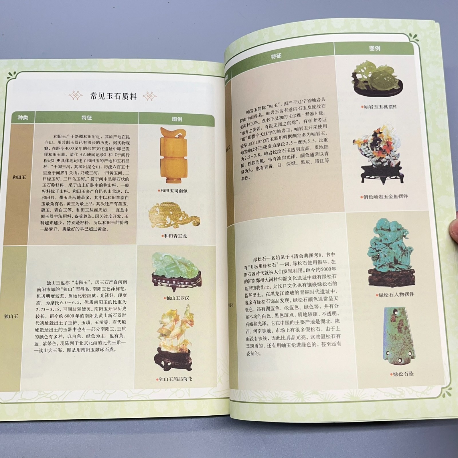 Ancient Jade Appraisal Twenty Lectures Appraising Treasures #6 Chinese 古玉鉴定二十讲