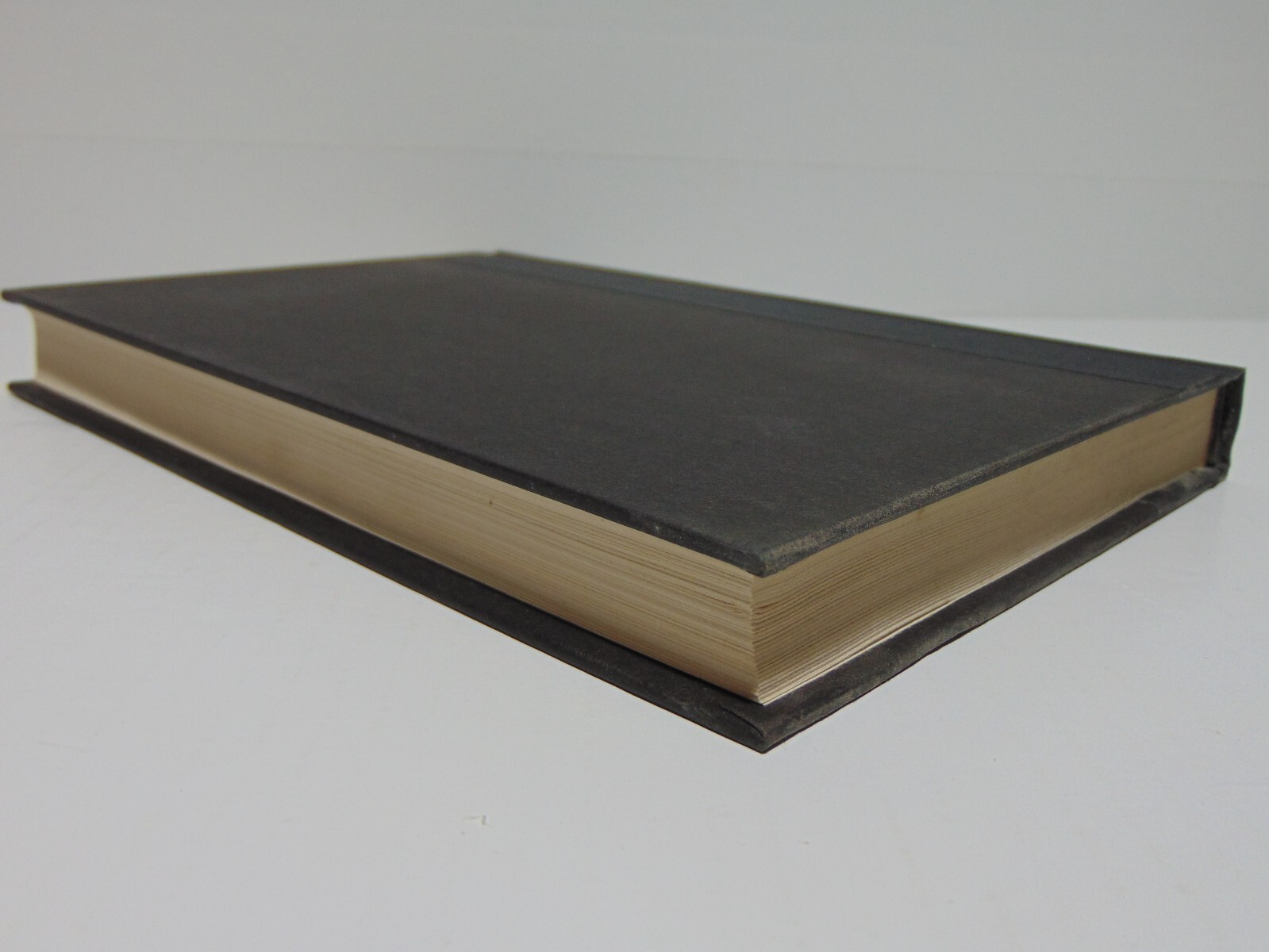 Brother Termite by Patricia Anthony (1993, Hardcover) 1st Edition