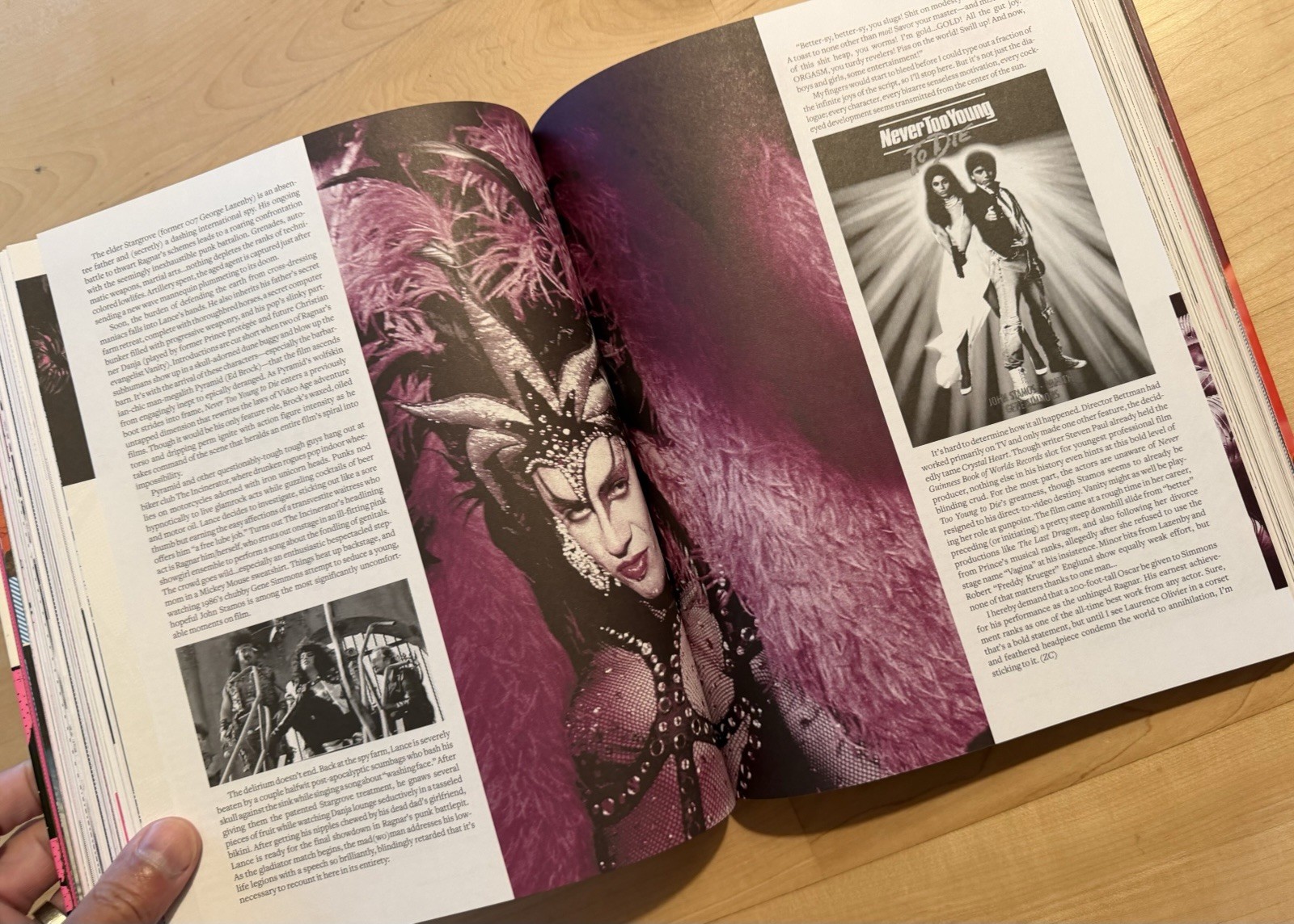 DESTROY ALL MOVIES!!! The Complete Guide To Punks On Film 2010 Fantagraphics TPB