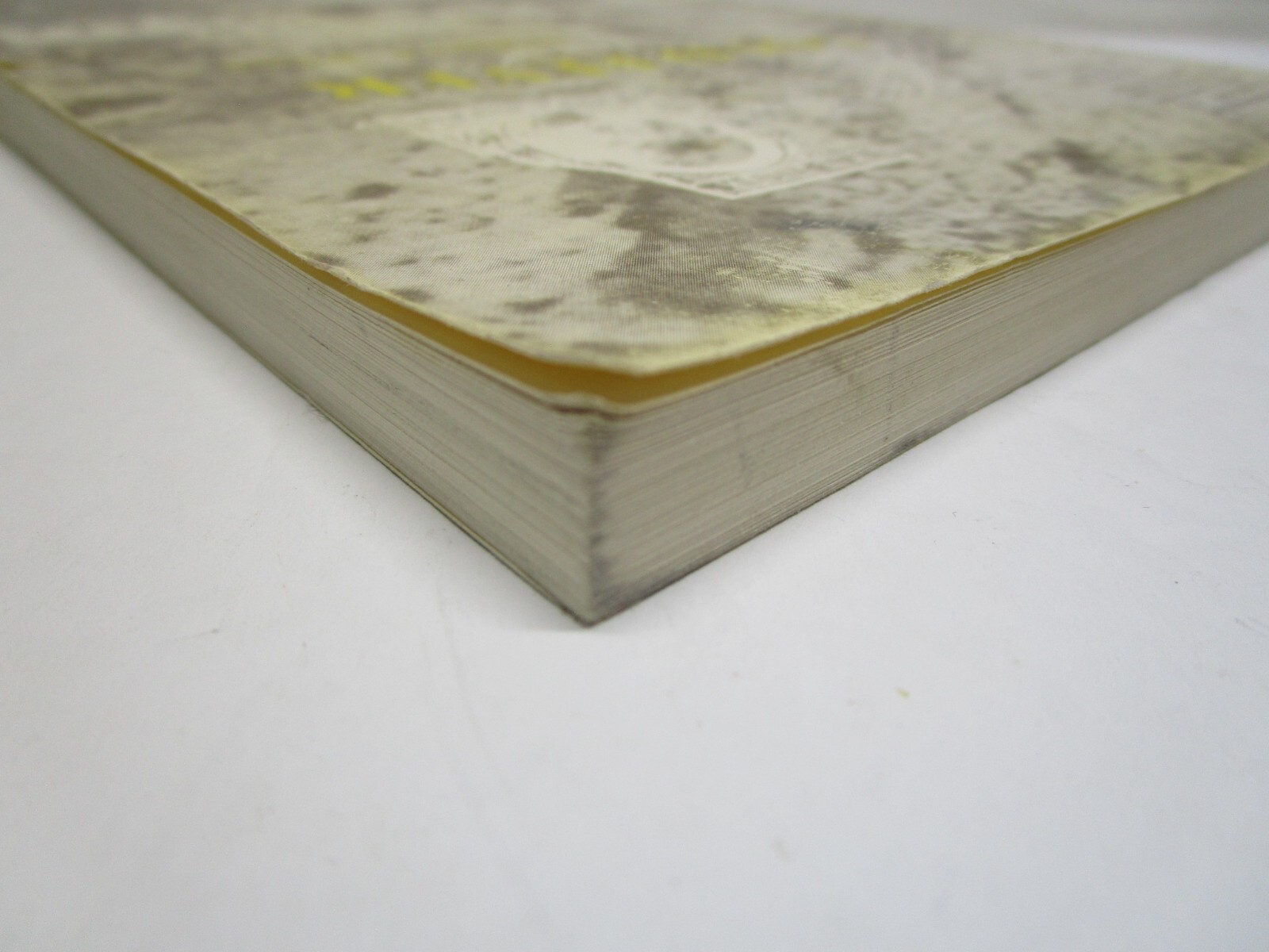 GOLD FEVER By Helen E. Wilson 3rd Printing 1987 Jarbridge Nevada