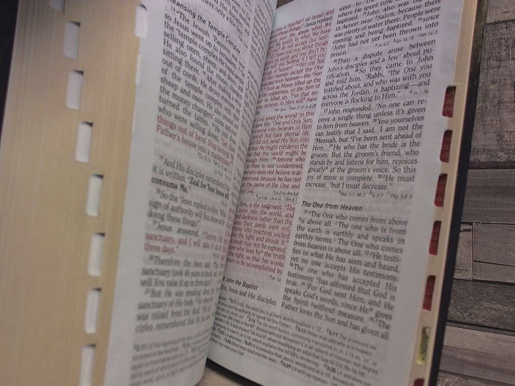HCSB Hand Size Giant Print Reference Bible, Black Simulated Leather Indexed by