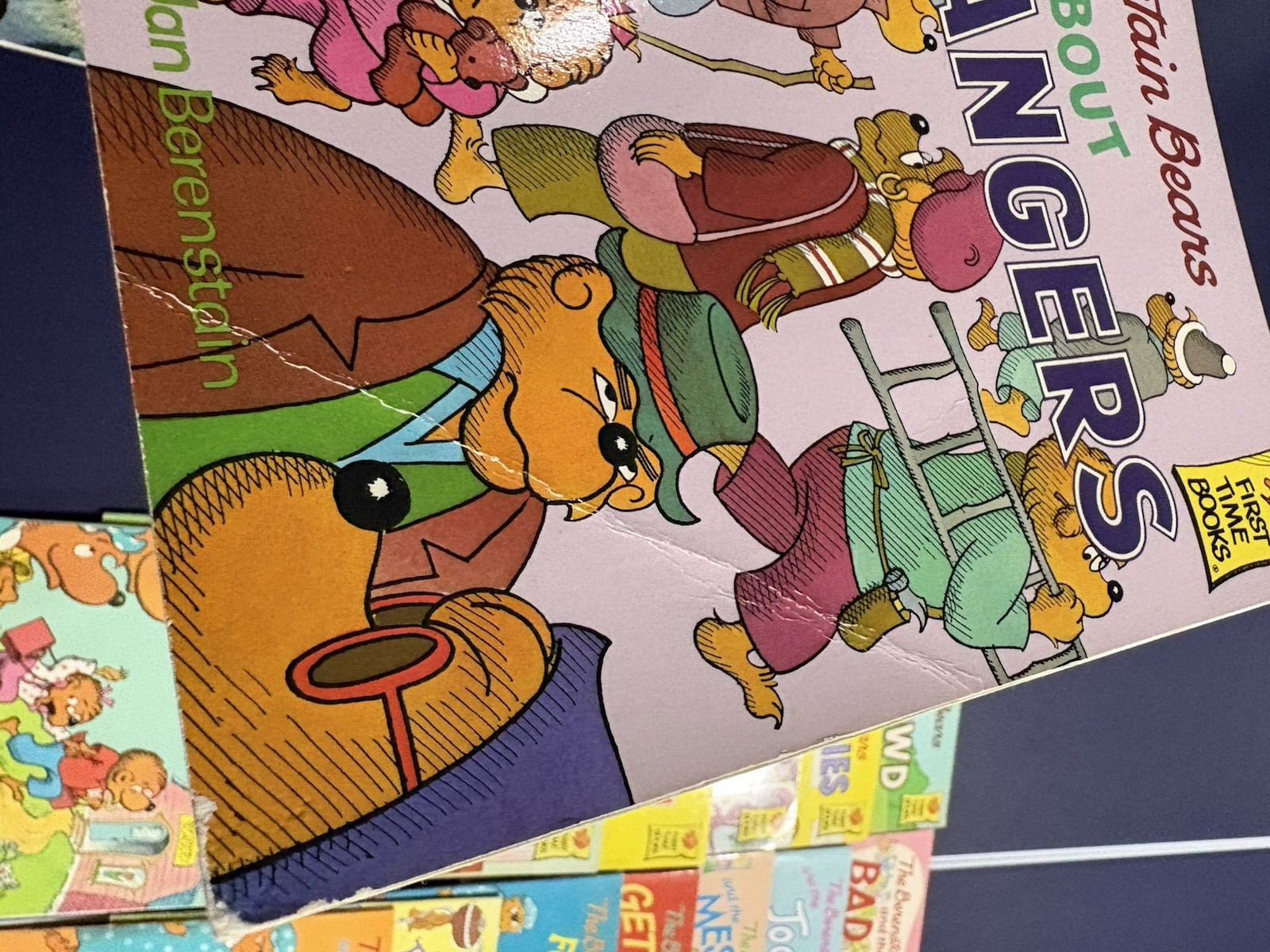 25 Berenstain Bears Books Mostly First Time by Jan Stan & Mike Berenstain No Dup
