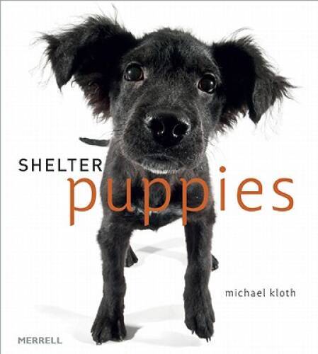 Shelter Puppies – Hardcover By Kloth, Michael – GOOD