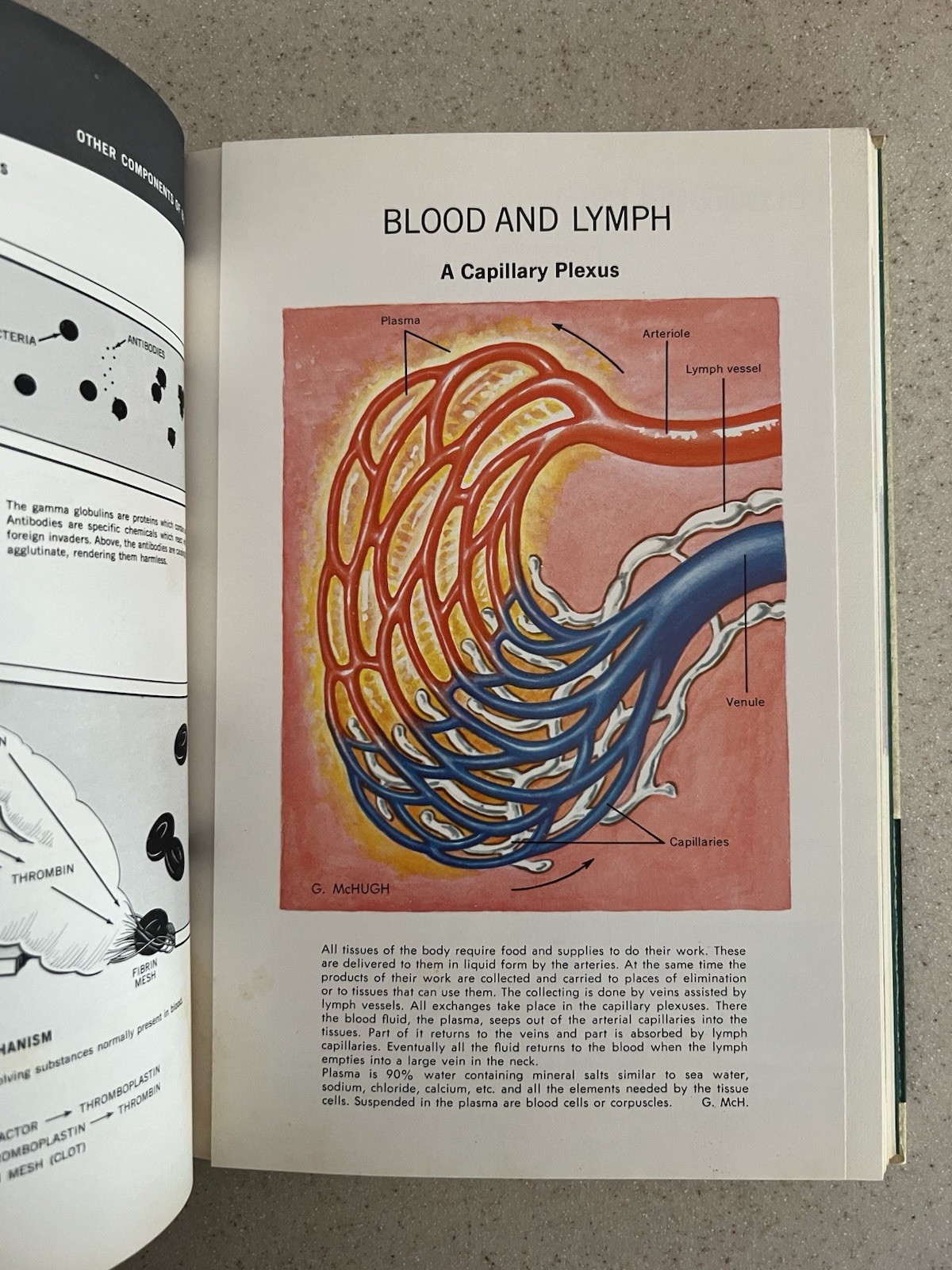Vtg 1964 The New Illustrated Medical & Health Encyclopedia 1-14 Complete Set HB