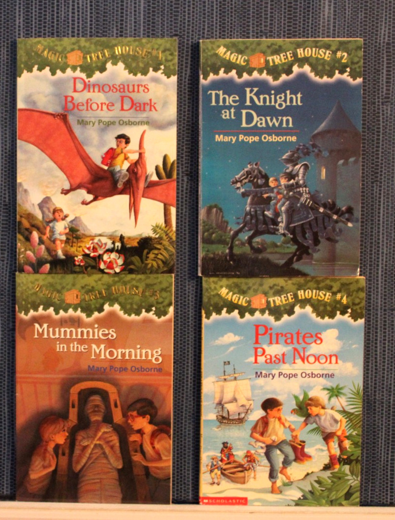 Magic Tree House Series 1-13 & 16-28 Chapter Book Lot Homeschool Teach Osborne
