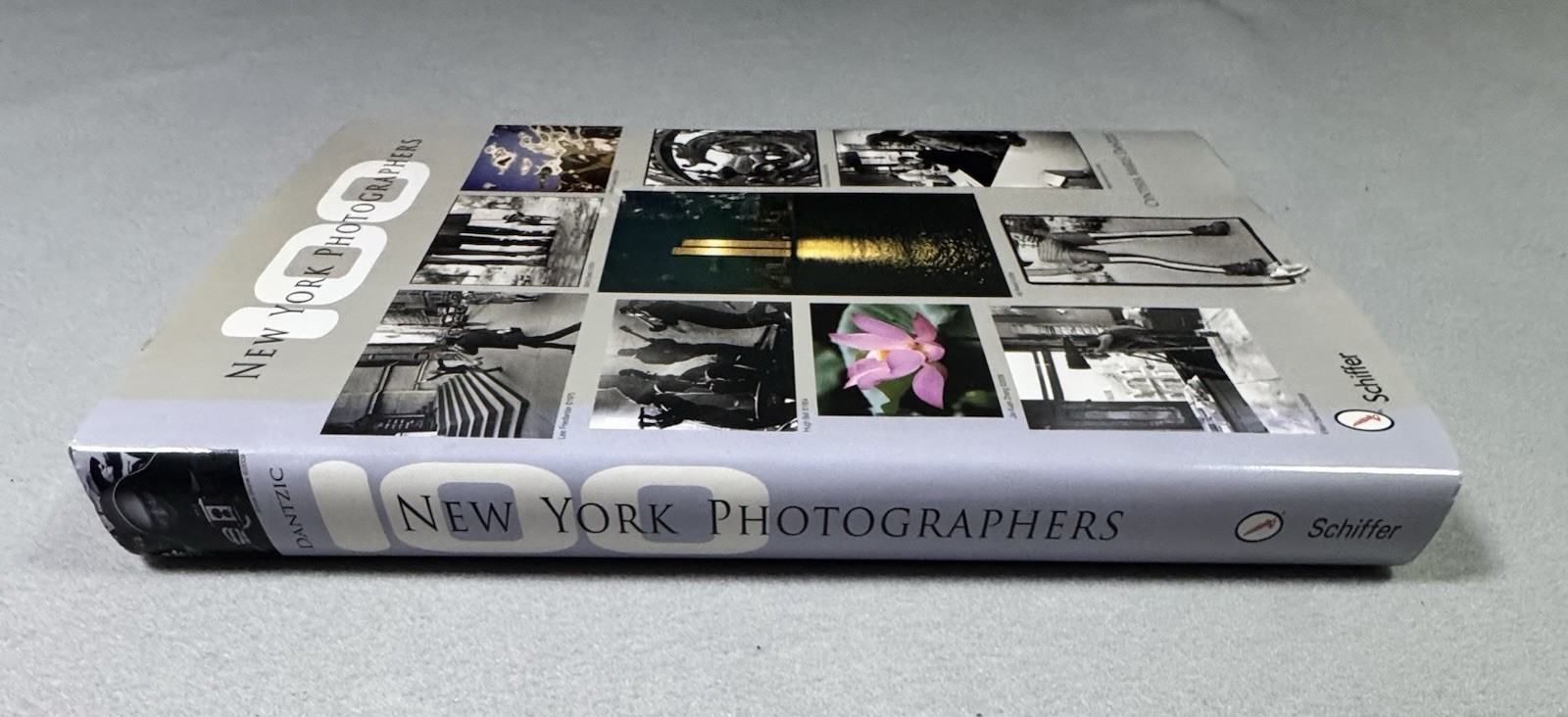 100 New York Photographers by Cynthia Maris Dantzic (2009, Hardcover)