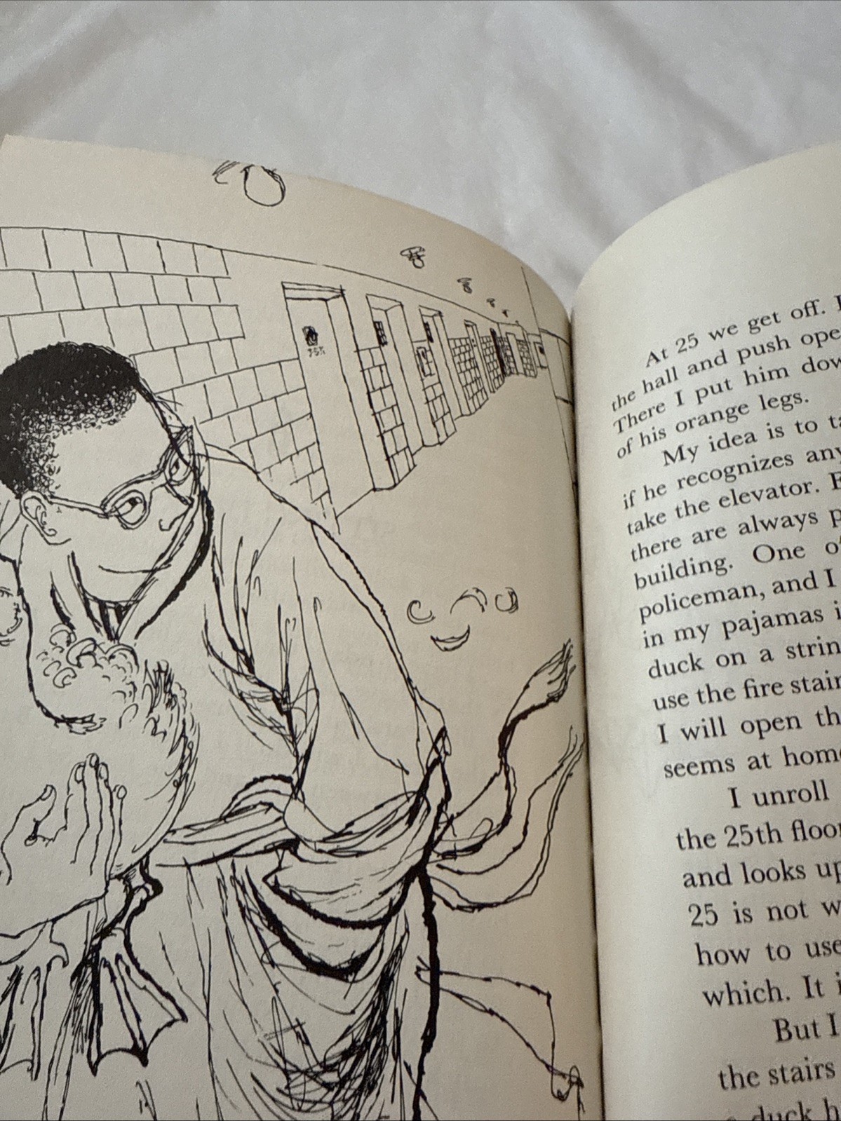 1973 “The Case Of The Elevator Duck” by Polly Berrien Berends Hardcover Book