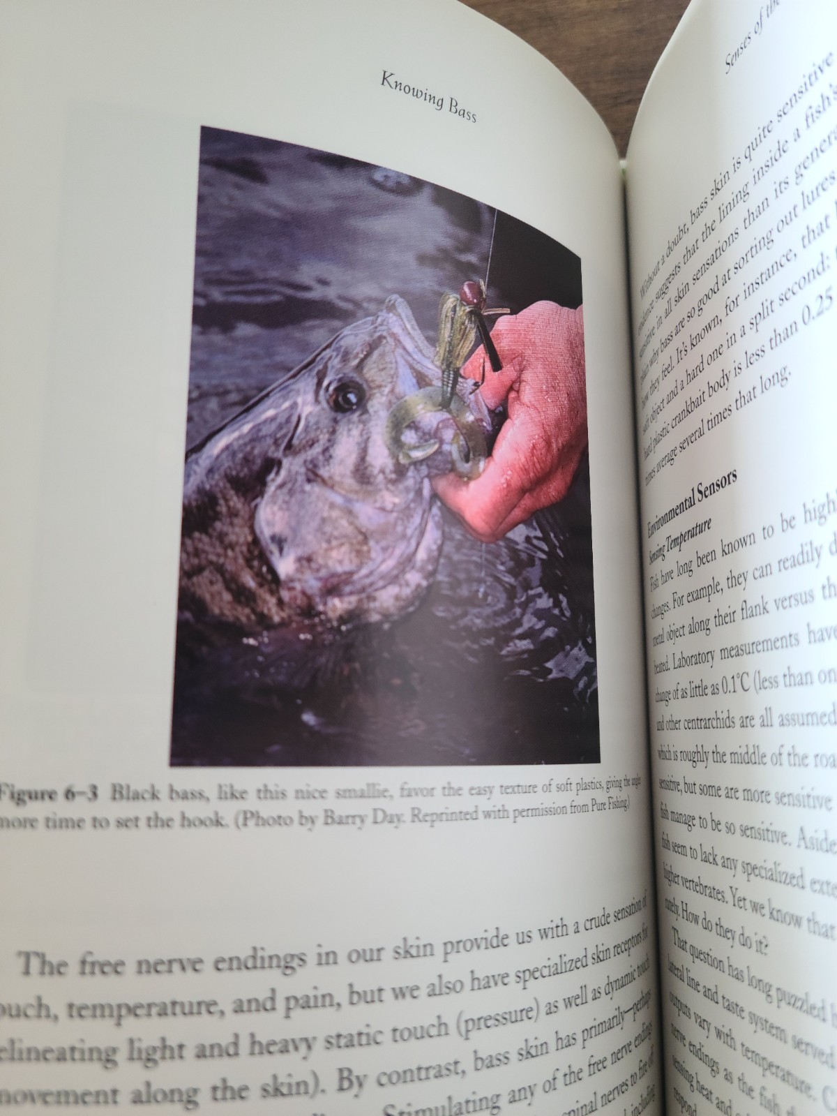 Knowing Bass book, Written by Keith A. Jones, Ph,D. Published by The Lyons Press