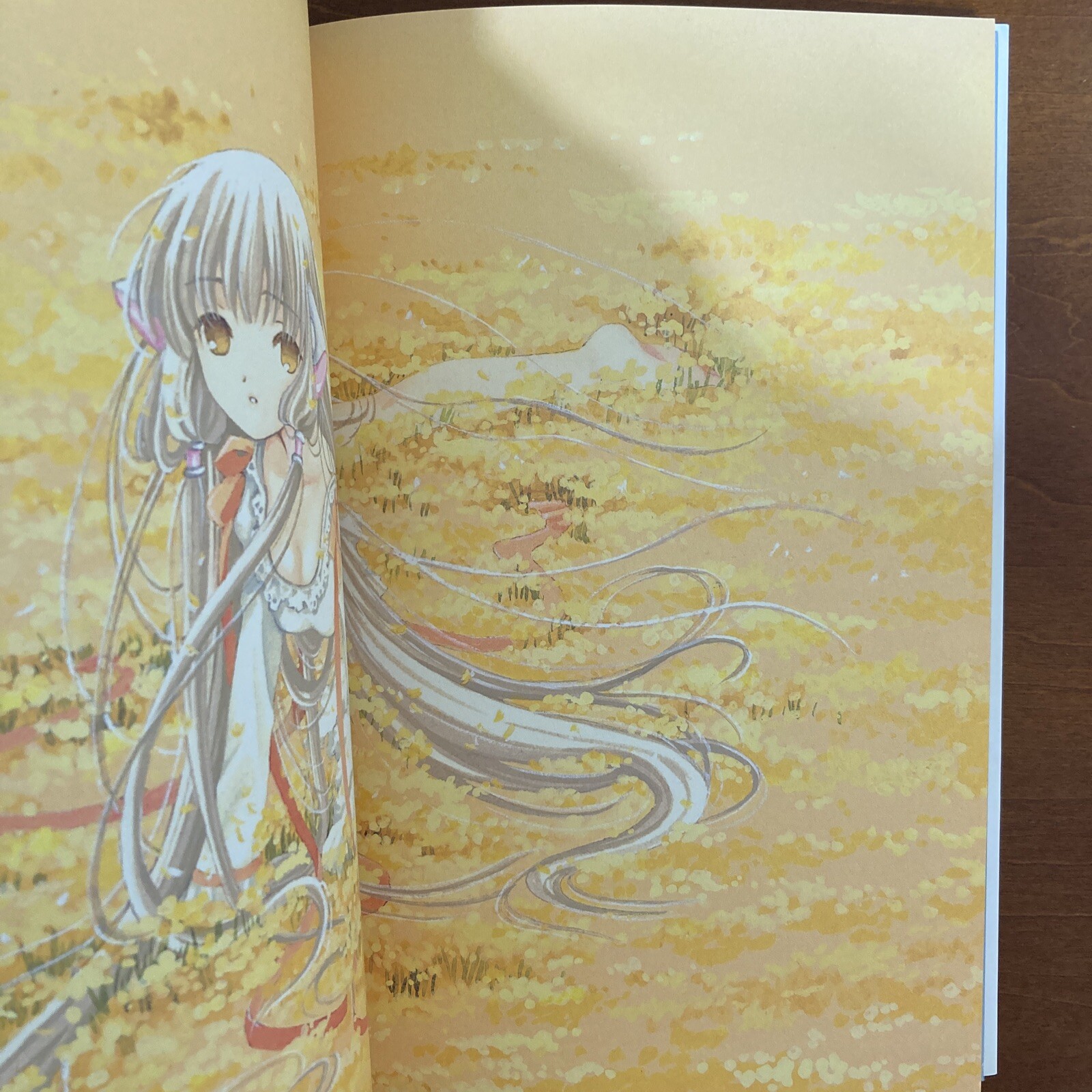 Clamp Chobits Chi Photographics Your Eyes Only Art Book Illustration Anime Manga