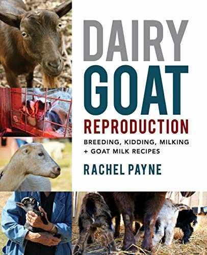 Dairy Goat Reproduction: Breeding, – Paperback, by Payne Rachel – Very Good