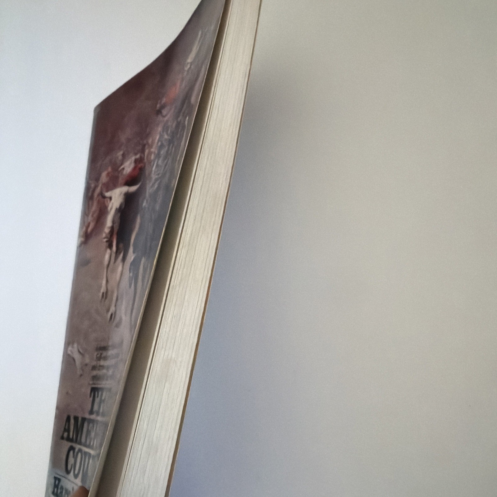 The American Cowboy by Harold MCCRACKEN History Art Drawings PB 1973