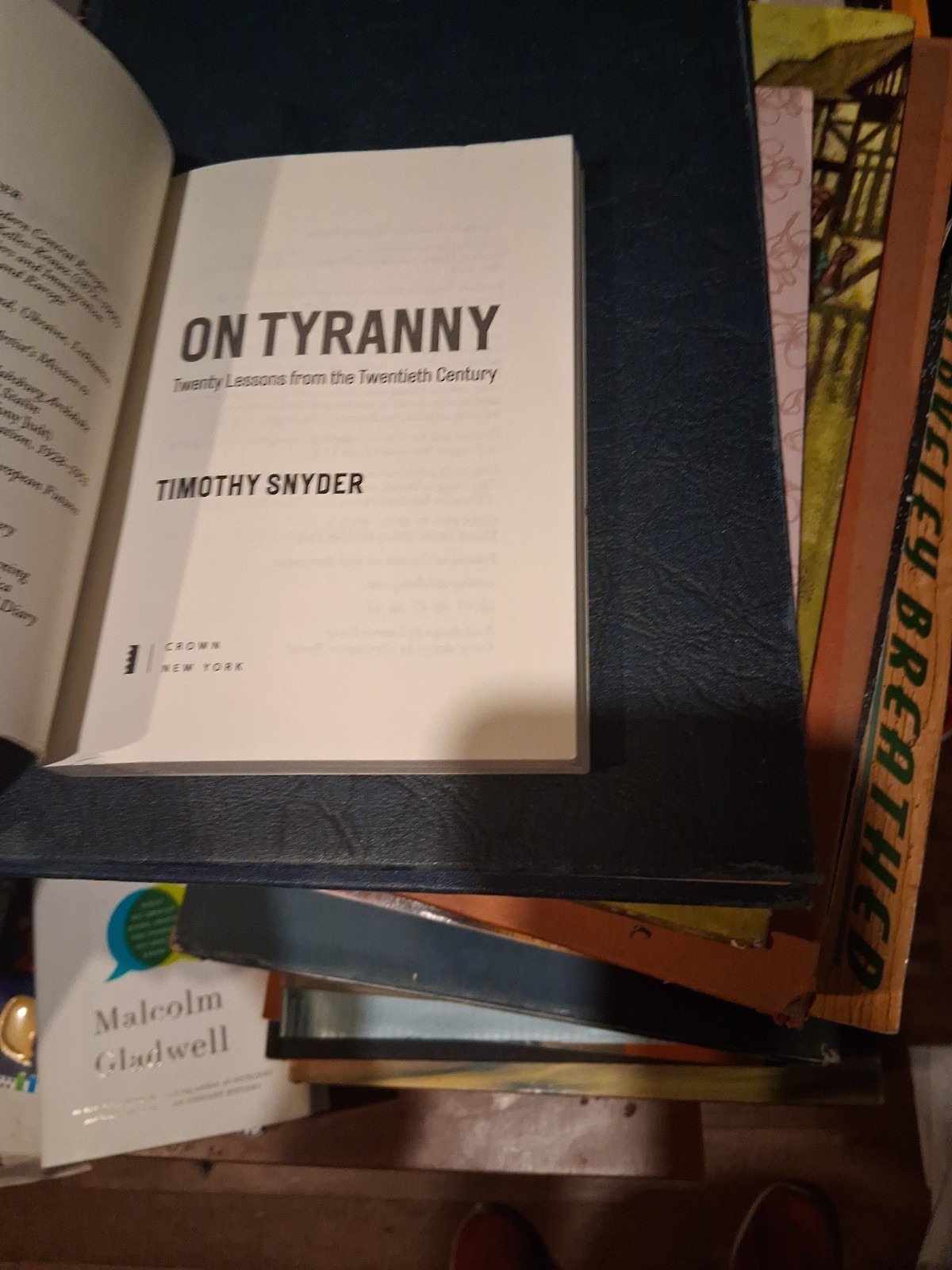 On Tyranny: Twenty Lessons from the Twentieth Century by Snyder, Timothy