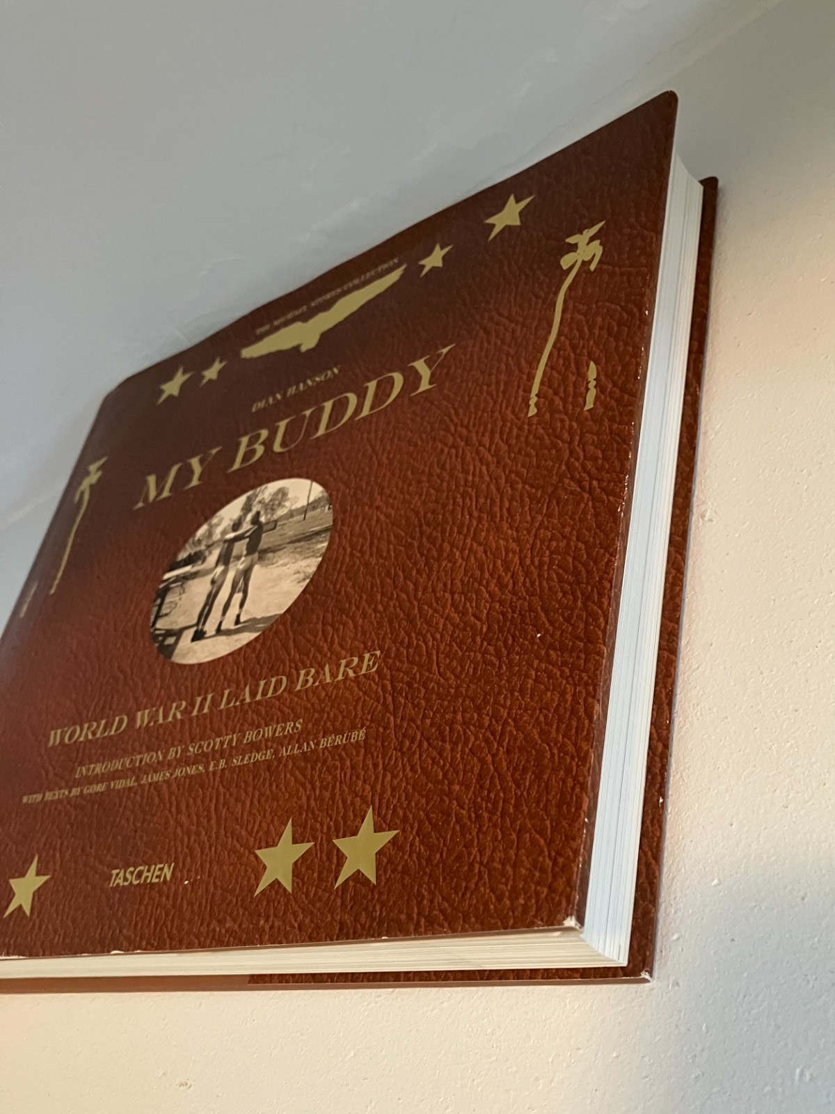 My Buddy World War II Laid Bare Dian Hanson