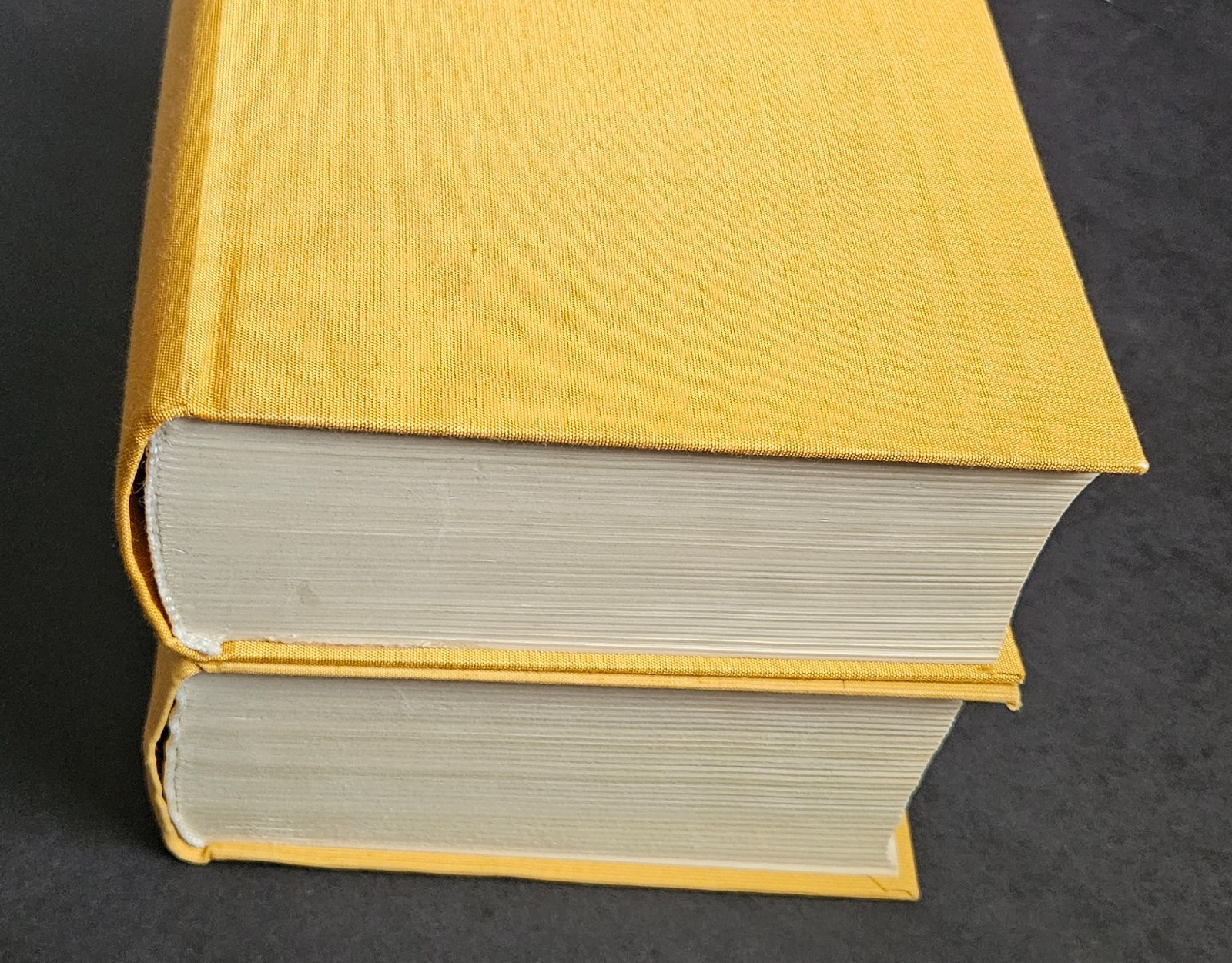 Słownik Angielsko-Polski /English-Polish Dictionary 2 Book Set