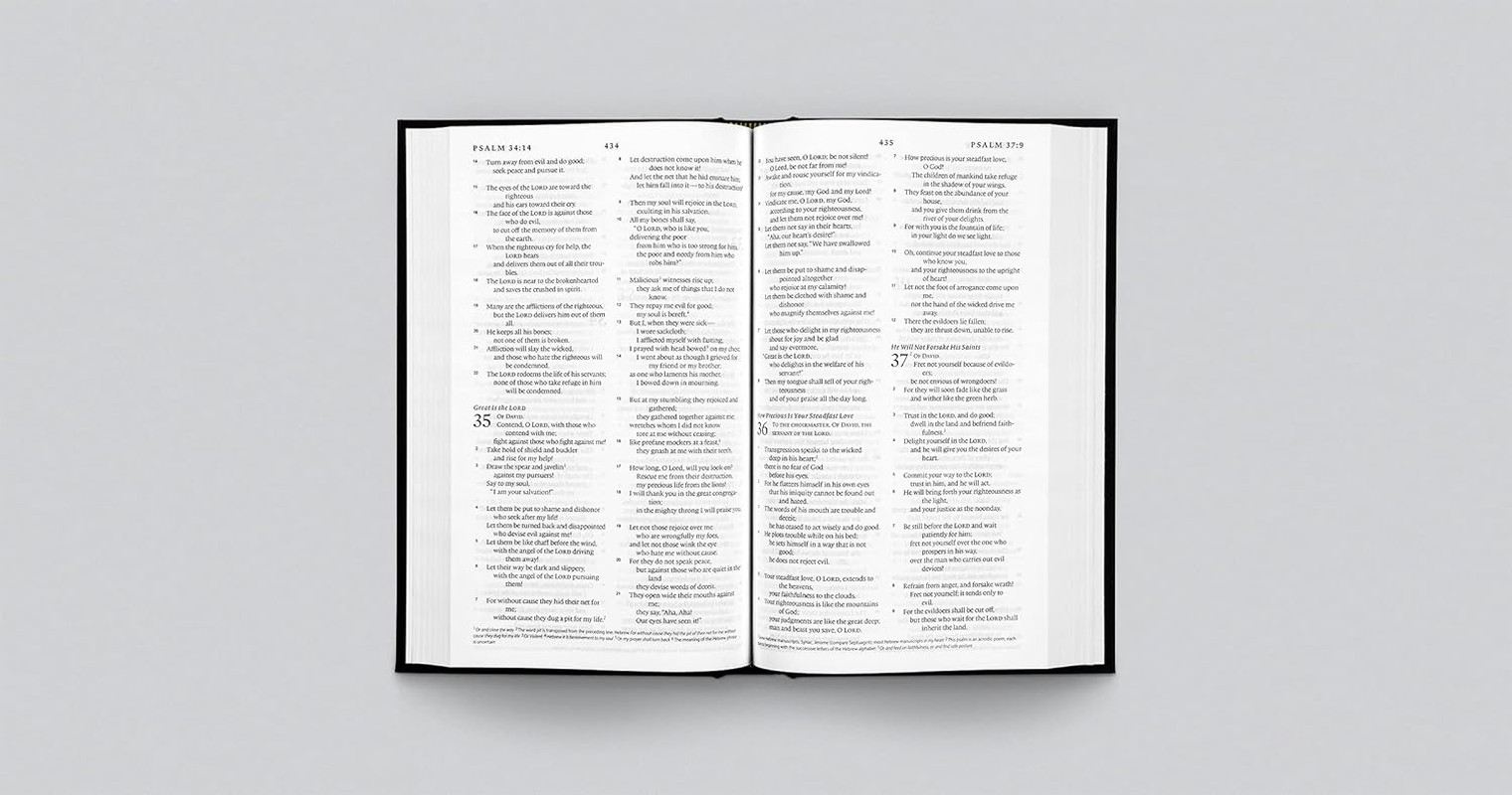 ESV Church Bible (Hardcover, Black)