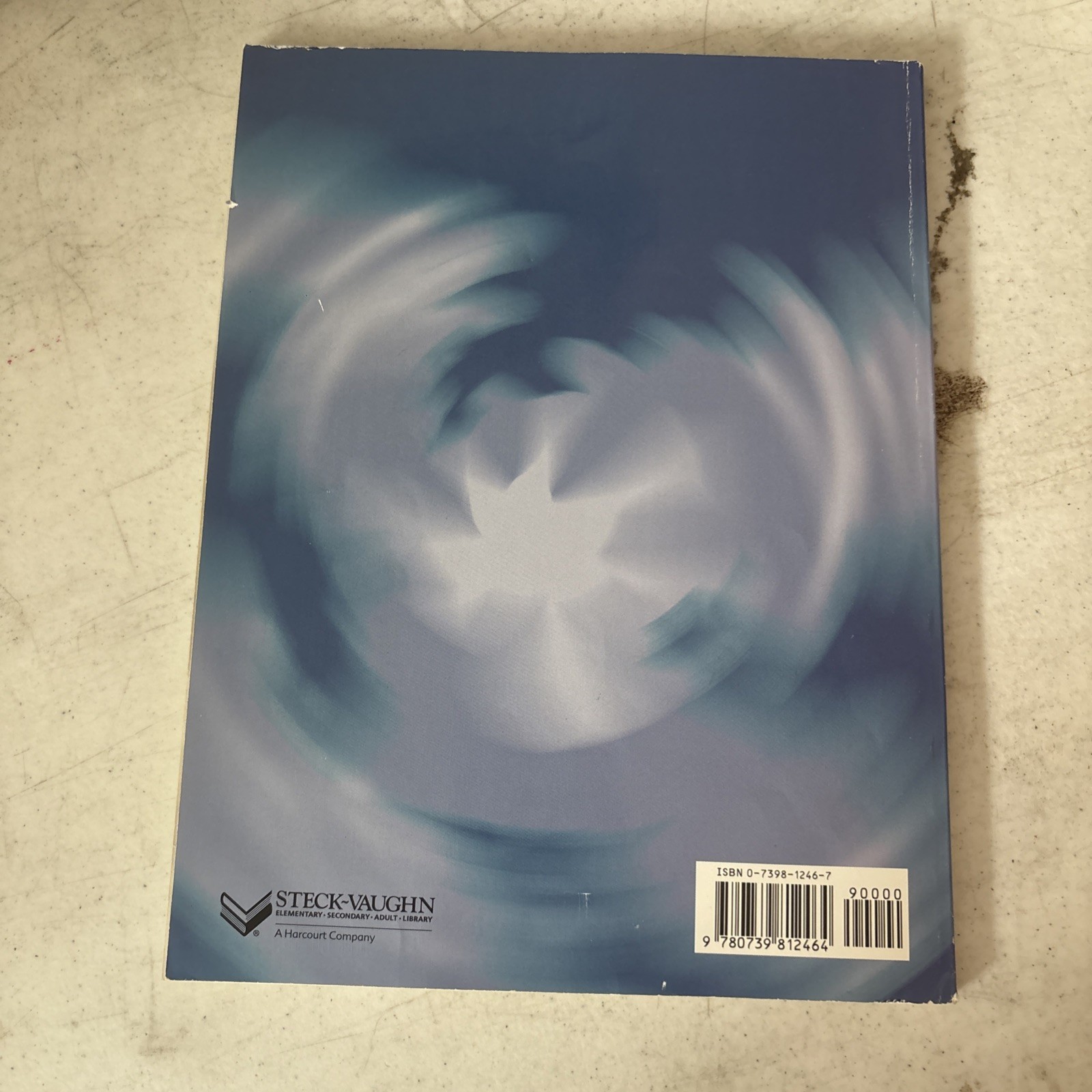 Te Mastering Math Level C – STeck-Vaughn – VERY GOOD