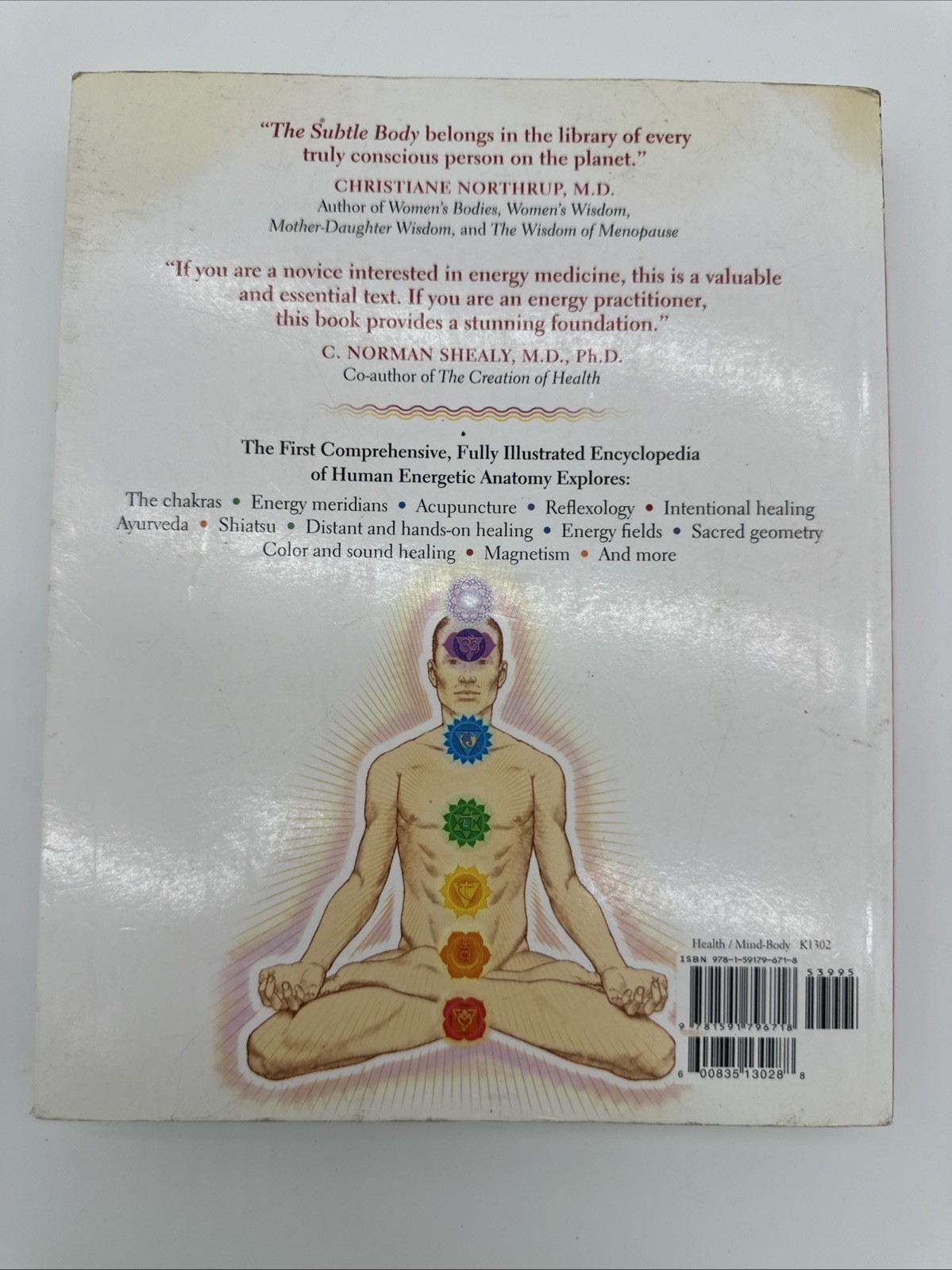 The Subtle Body Encyclopedia of Your Energetic Anatomy Cyndi Dale Paperback 2009