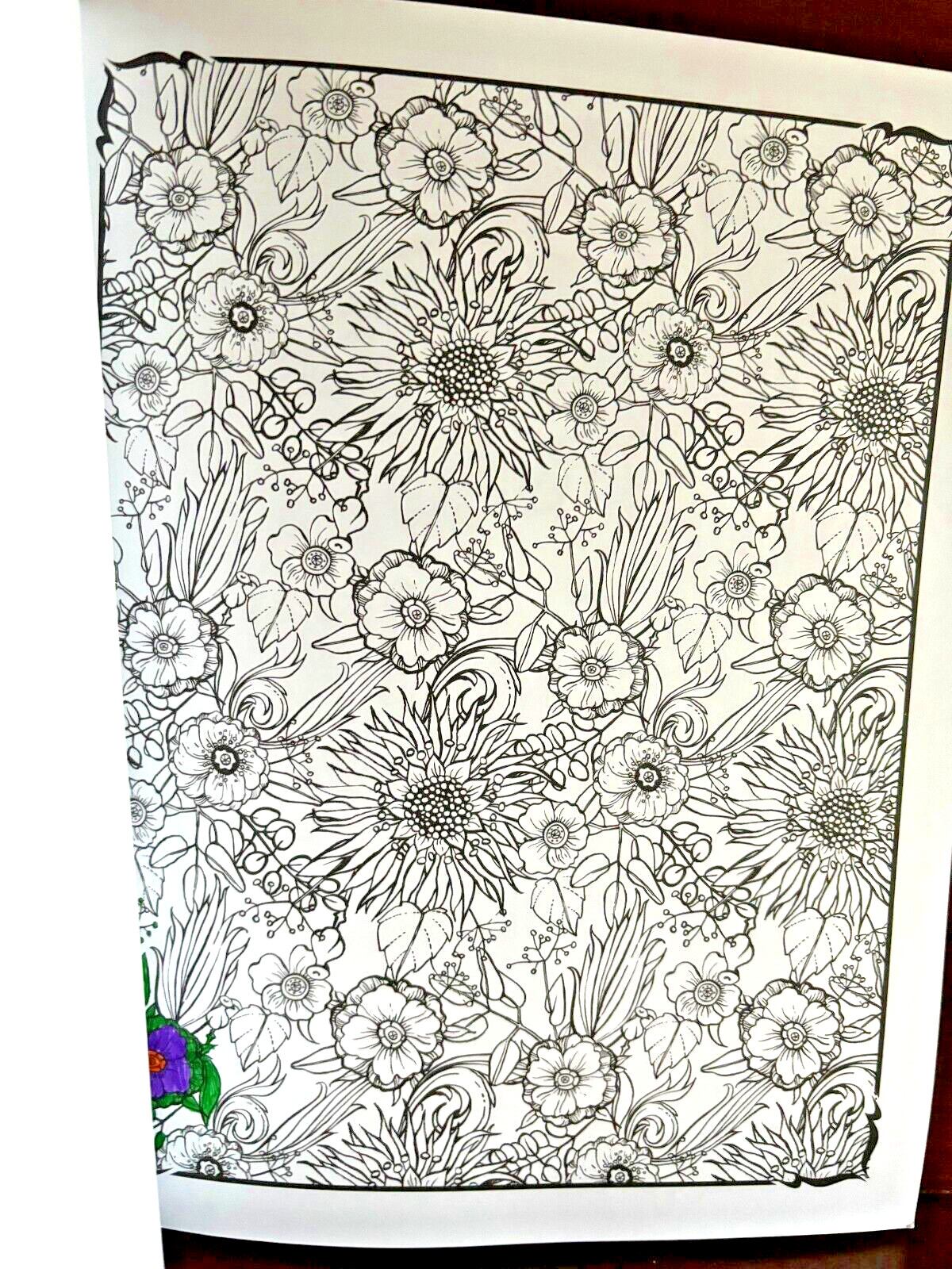 Adult Coloring Books Lot 4 Unused Nature Flowers Mandalas Stained Glass Karmin