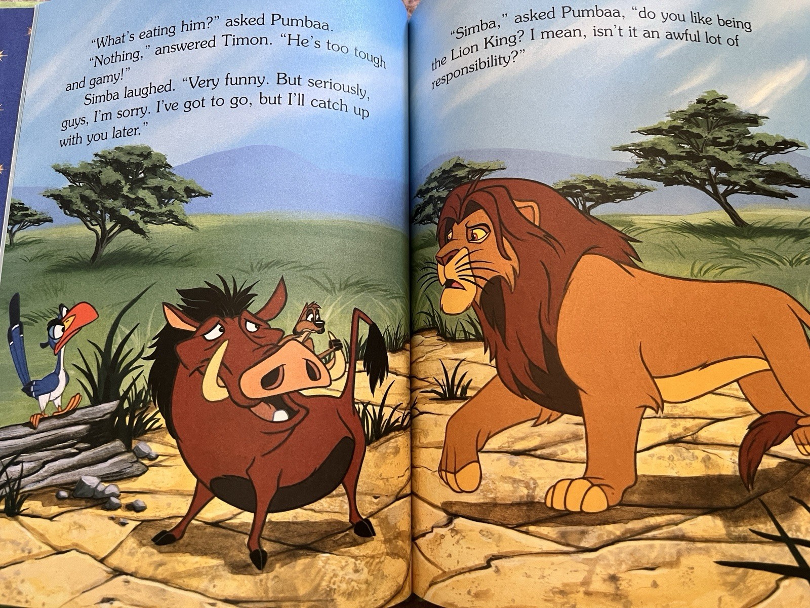 Disney’s Storytime Treasures The Pal Patrol Vol 1 Vintage 1998 Lion King
