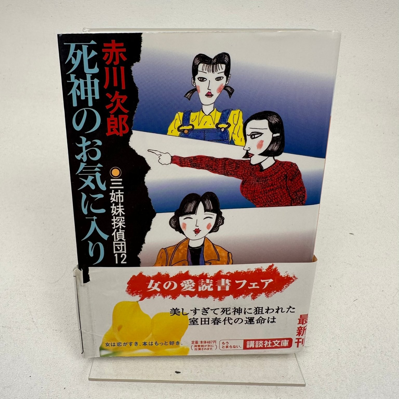 Akagawa Jiro Mystery Novel Set 10 Books Mike Neko Holmes Detective Japan