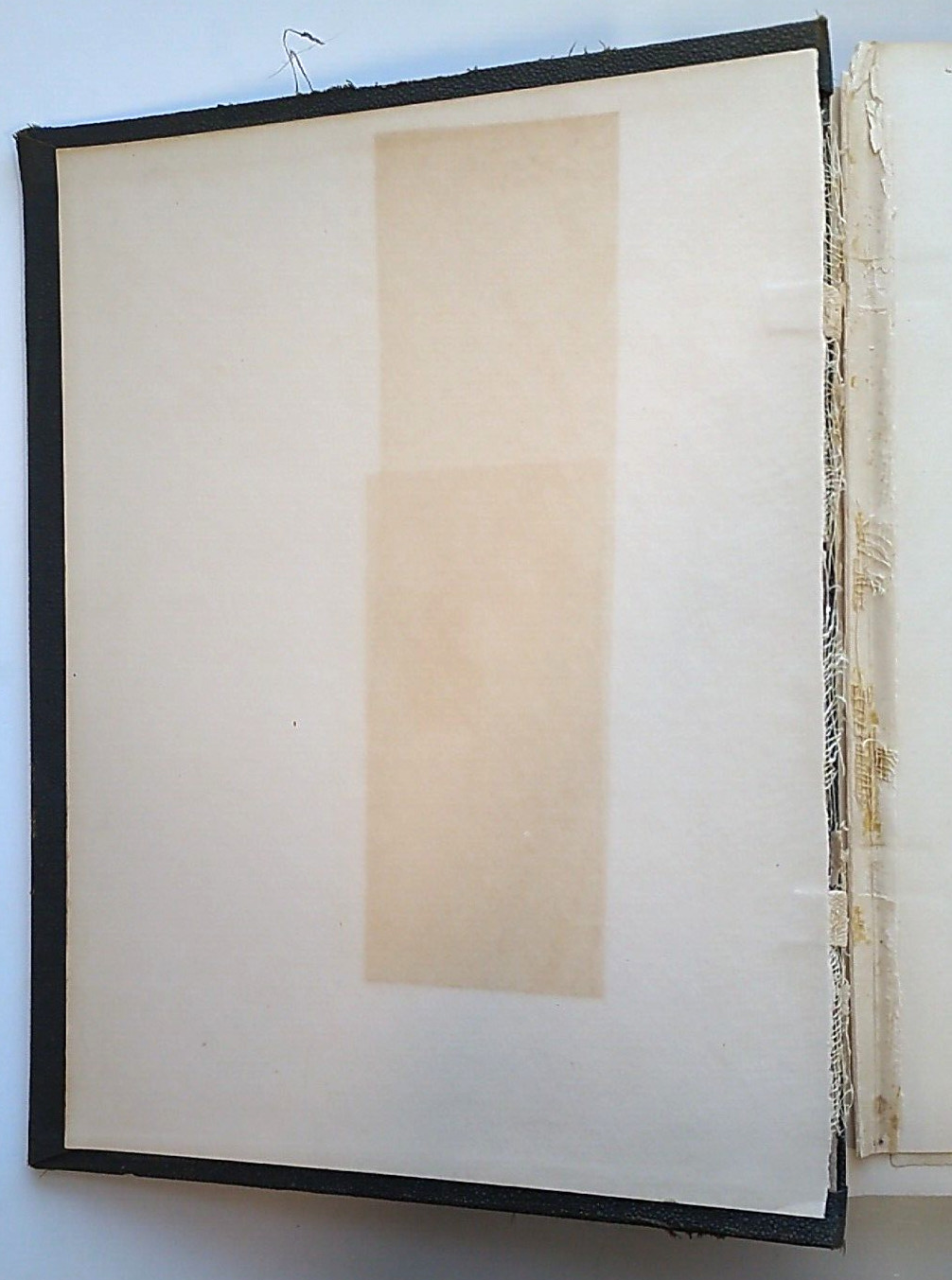 Oahspe: A New Bible In The Words Of Jehovih by John Ballou Newbrough – 1891 – HC