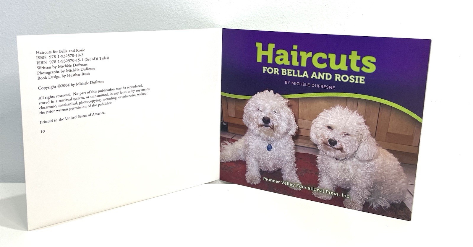 Bella & Rosie Early Readers Books Green 6 Pioneer Valley Dufresne Homeschool B