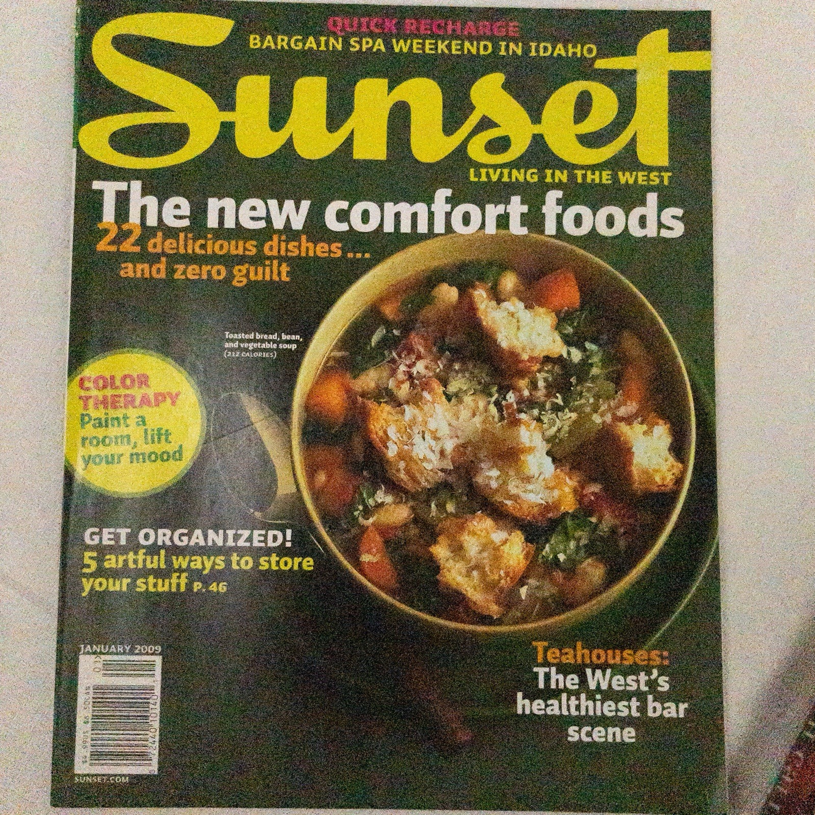 Art & Garden Magazines Lot Sunset Artists of the Northwest Seattle Art Books