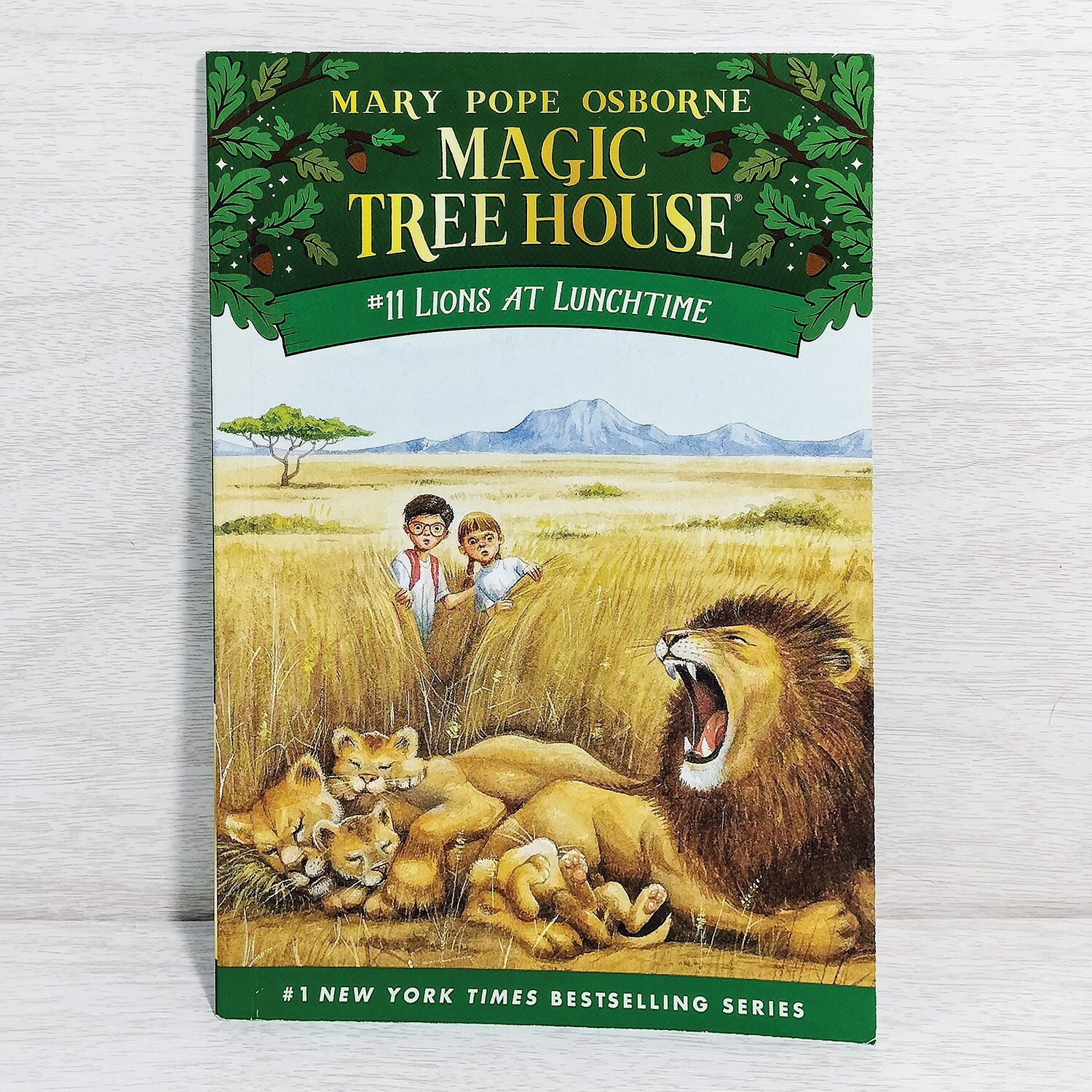 Magic Tree House Books 1-15 Complete Box Set Collection #1 PB Mary Pope Osborne