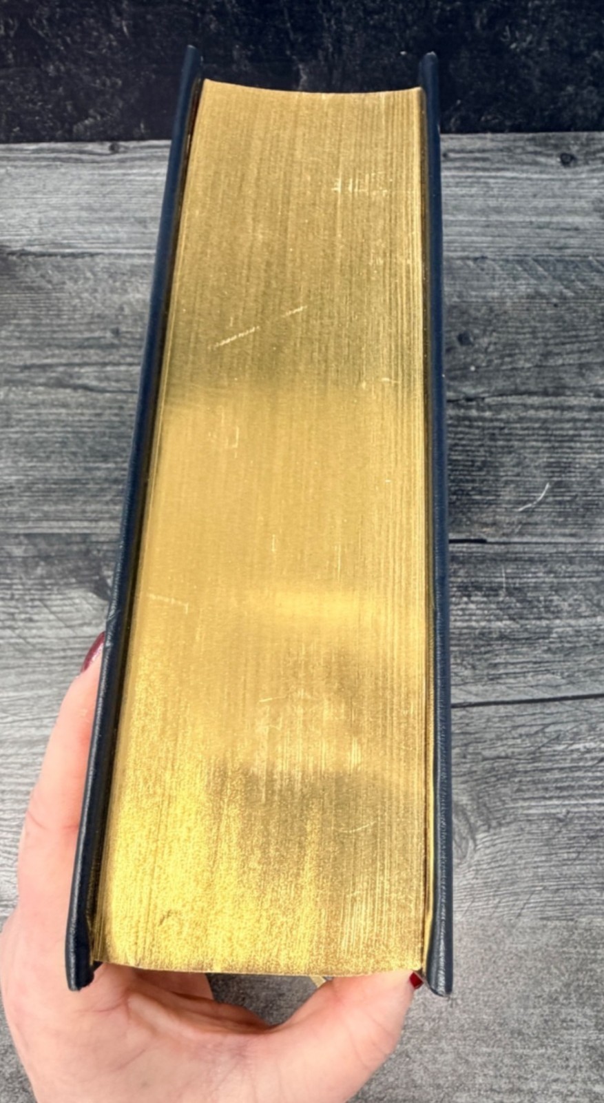 Barnes & Noble Collectible Classics King James Version Family Holy Bible ORNATE