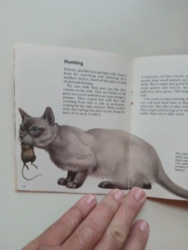 SCIMITAR NP Cats By Jill Hughes 1981 Paperback