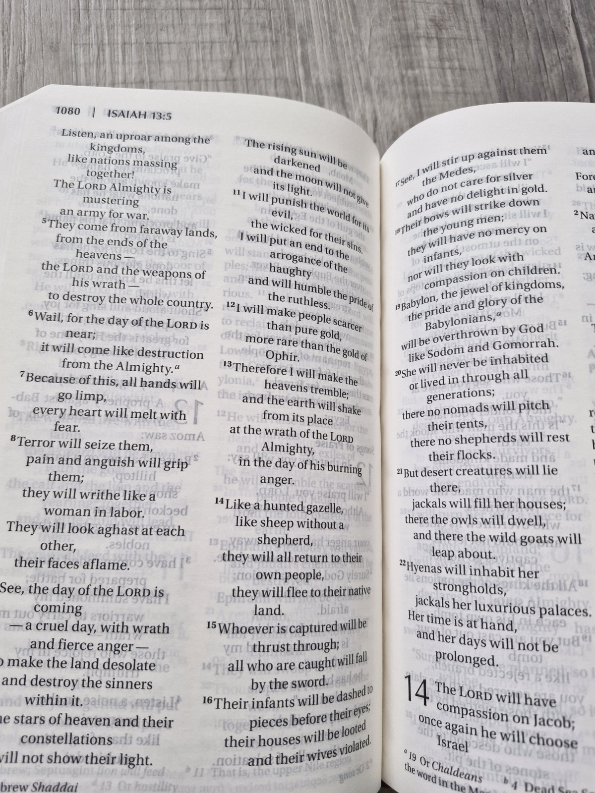 Zondervan NIV Personal Size Large Print Bible Chocolate Amber Leathersoft Cover