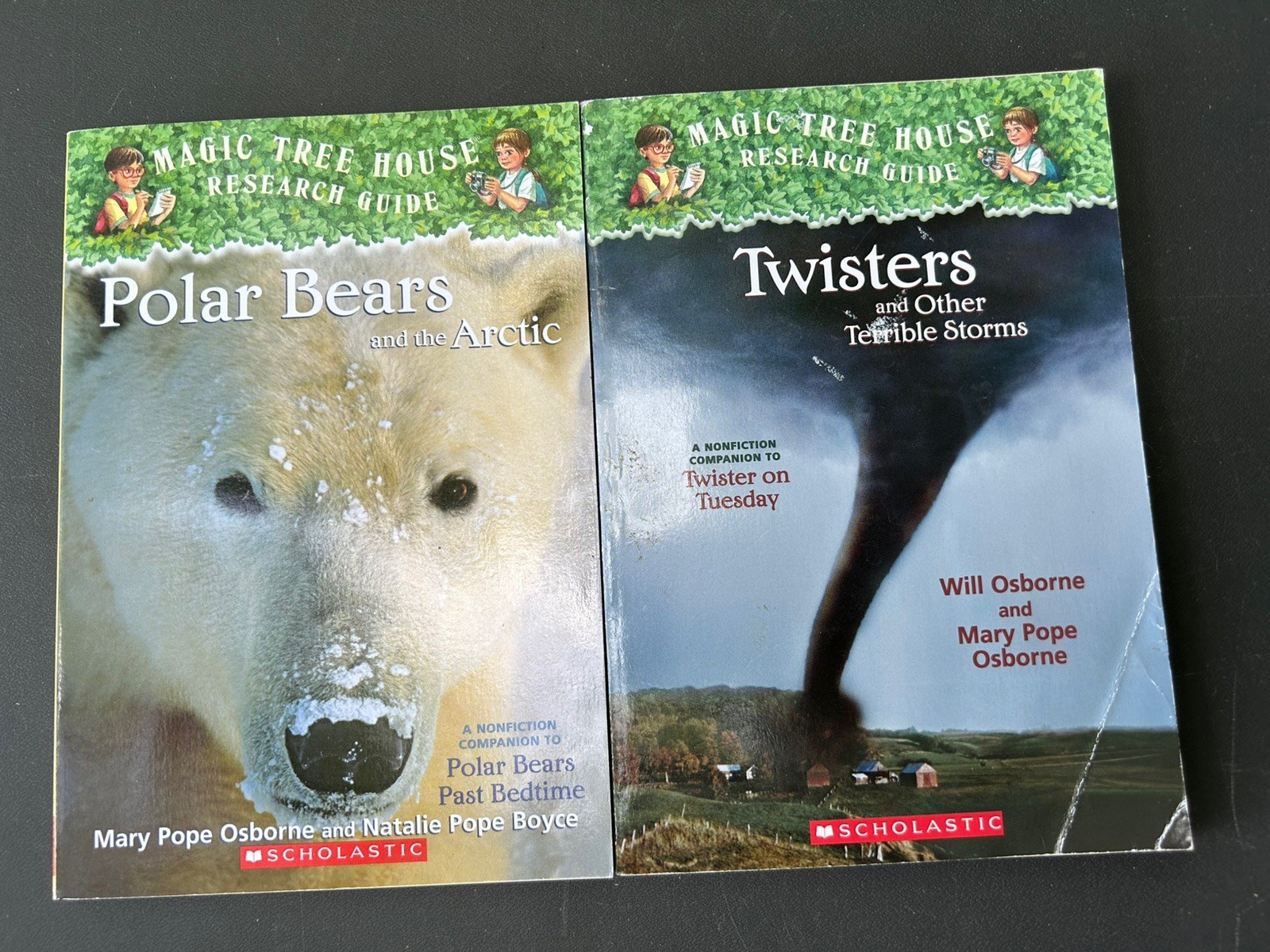 Lot Of 26 Magic Treehouse books by Mary Pope Osborne & Natalie Pope Boyce