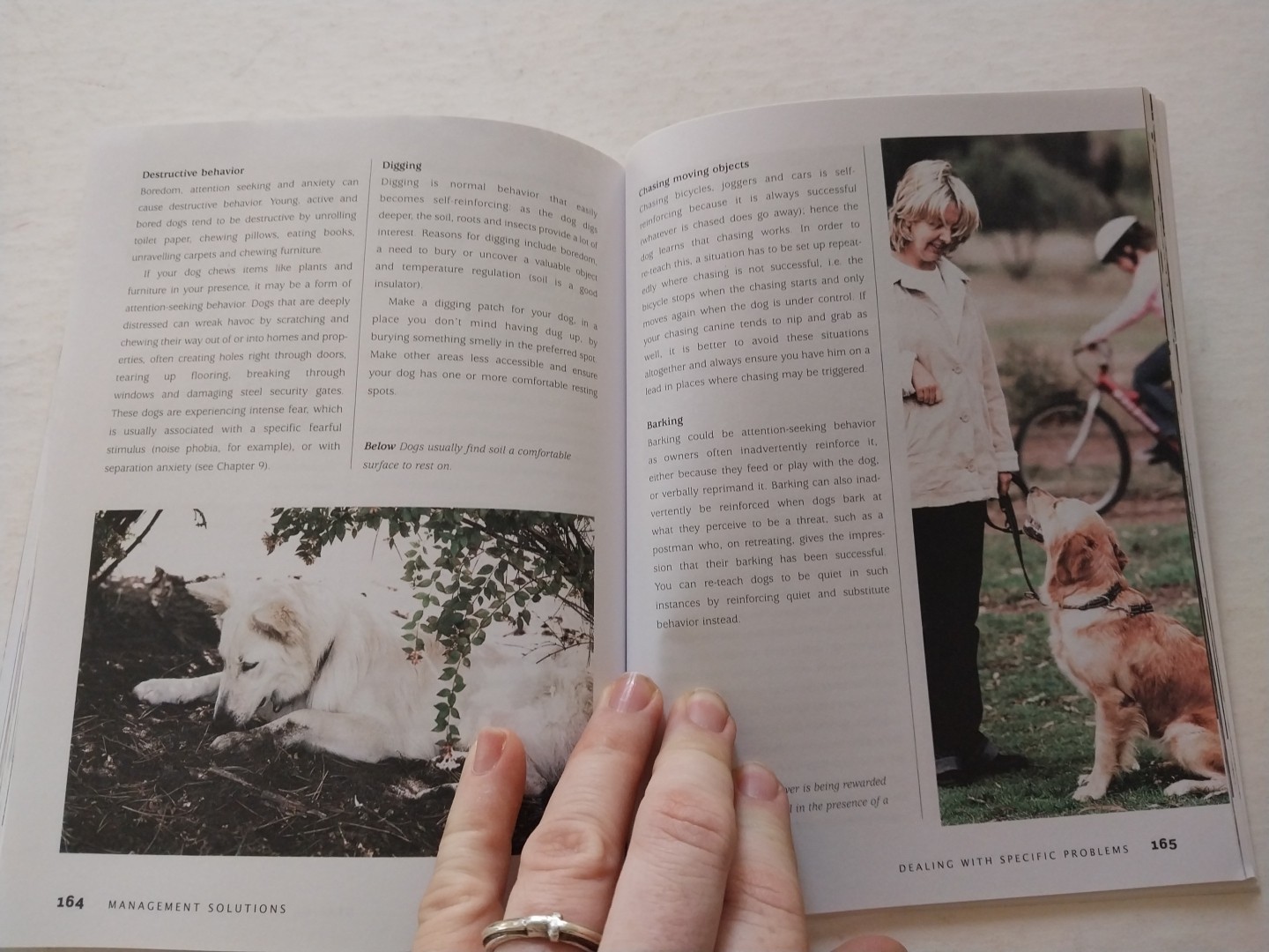 Bad Dog to Good Dog : A New Approach to Dog Psychology and Training by Quixi…